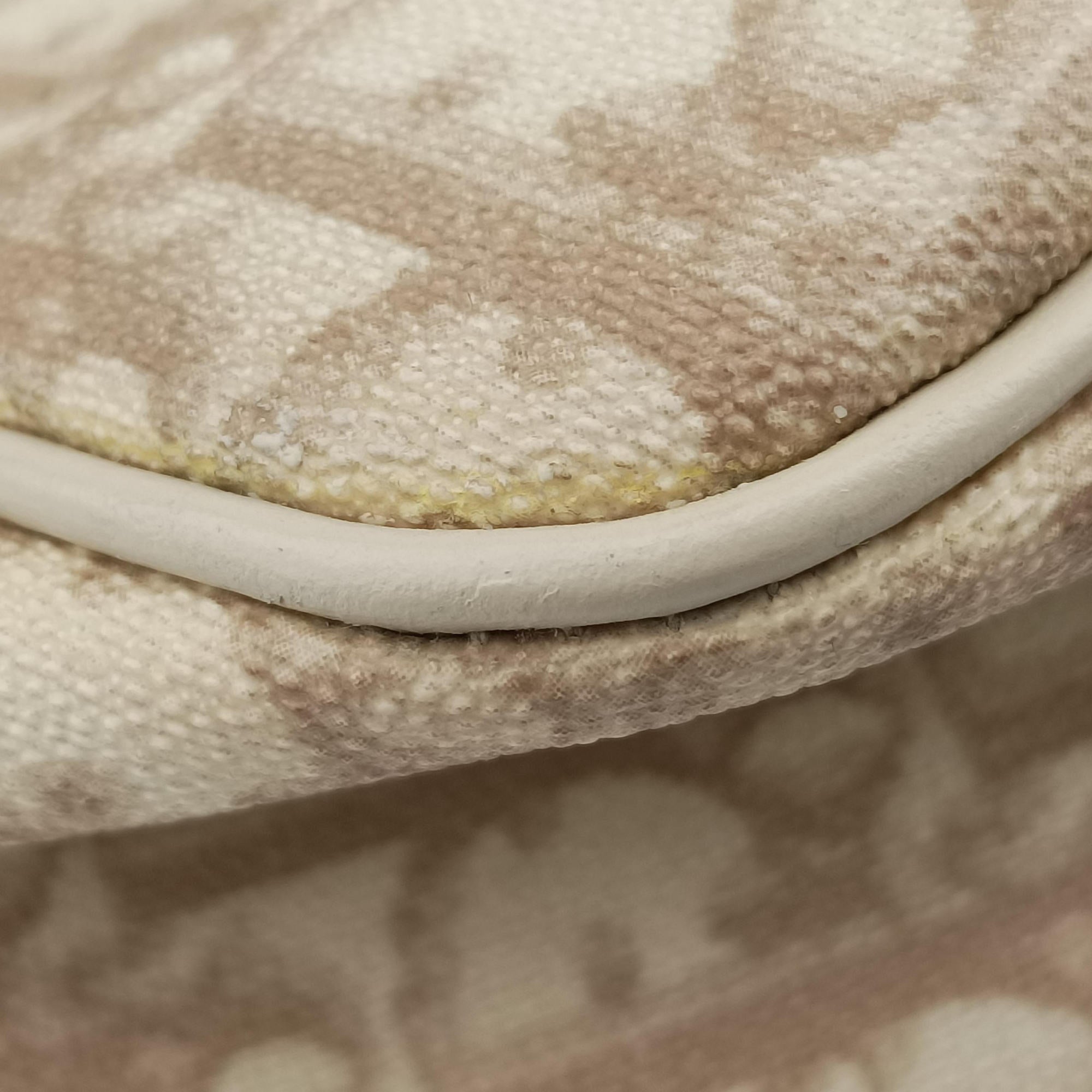 Vintage Christian Dior Diorissimo Romantique Beige PVC coated canvas ×Leather  handbag | stylenewstar