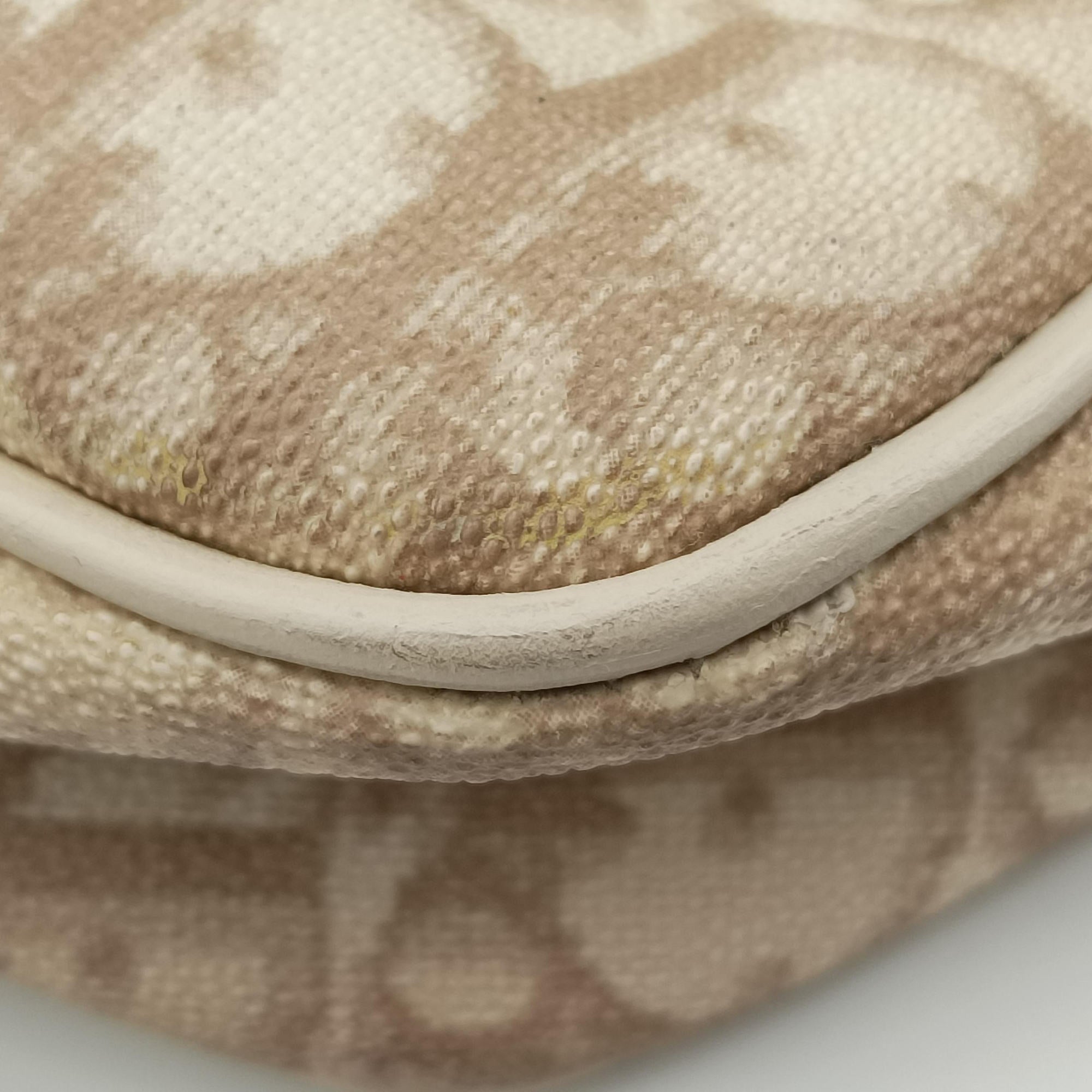Vintage Christian Dior Diorissimo Romantique Beige PVC coated canvas ×Leather  handbag | stylenewstar