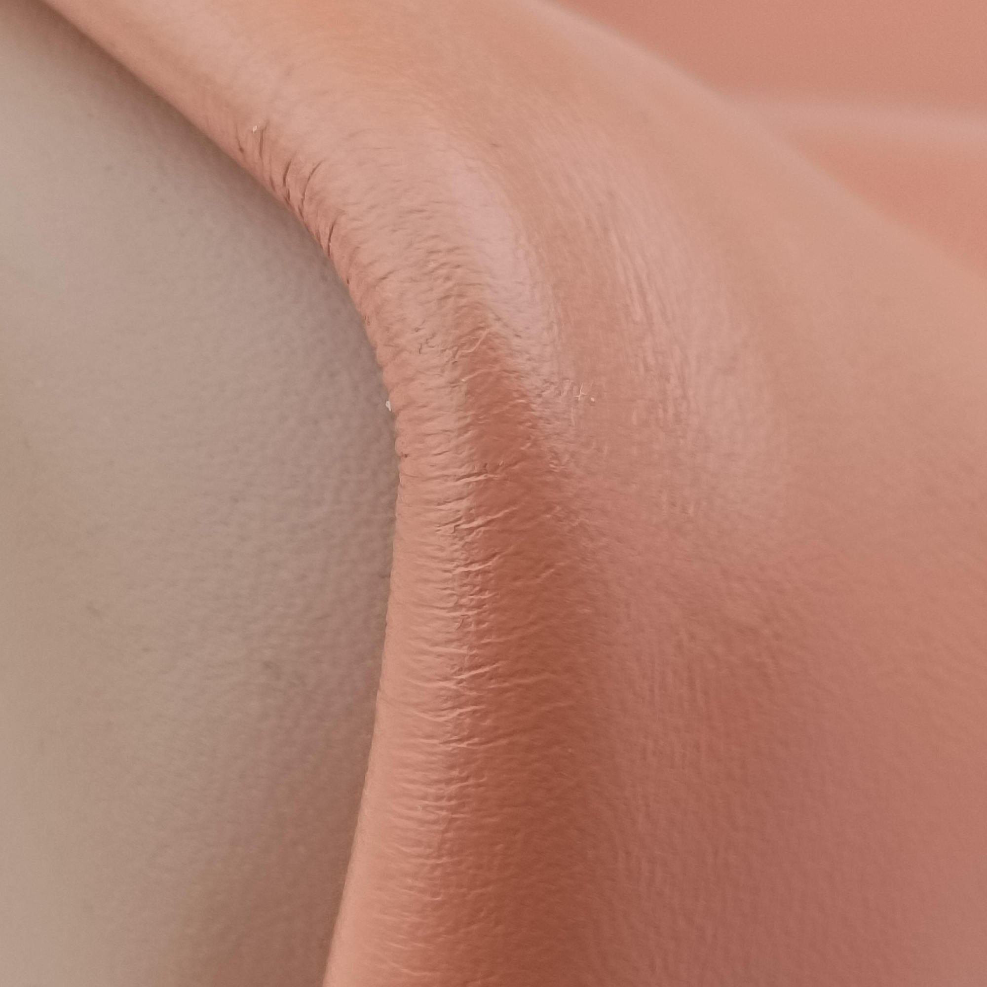 Pre-owned Chloe Baylee CoralxNude Leather  shoulderbag | stylenewstar