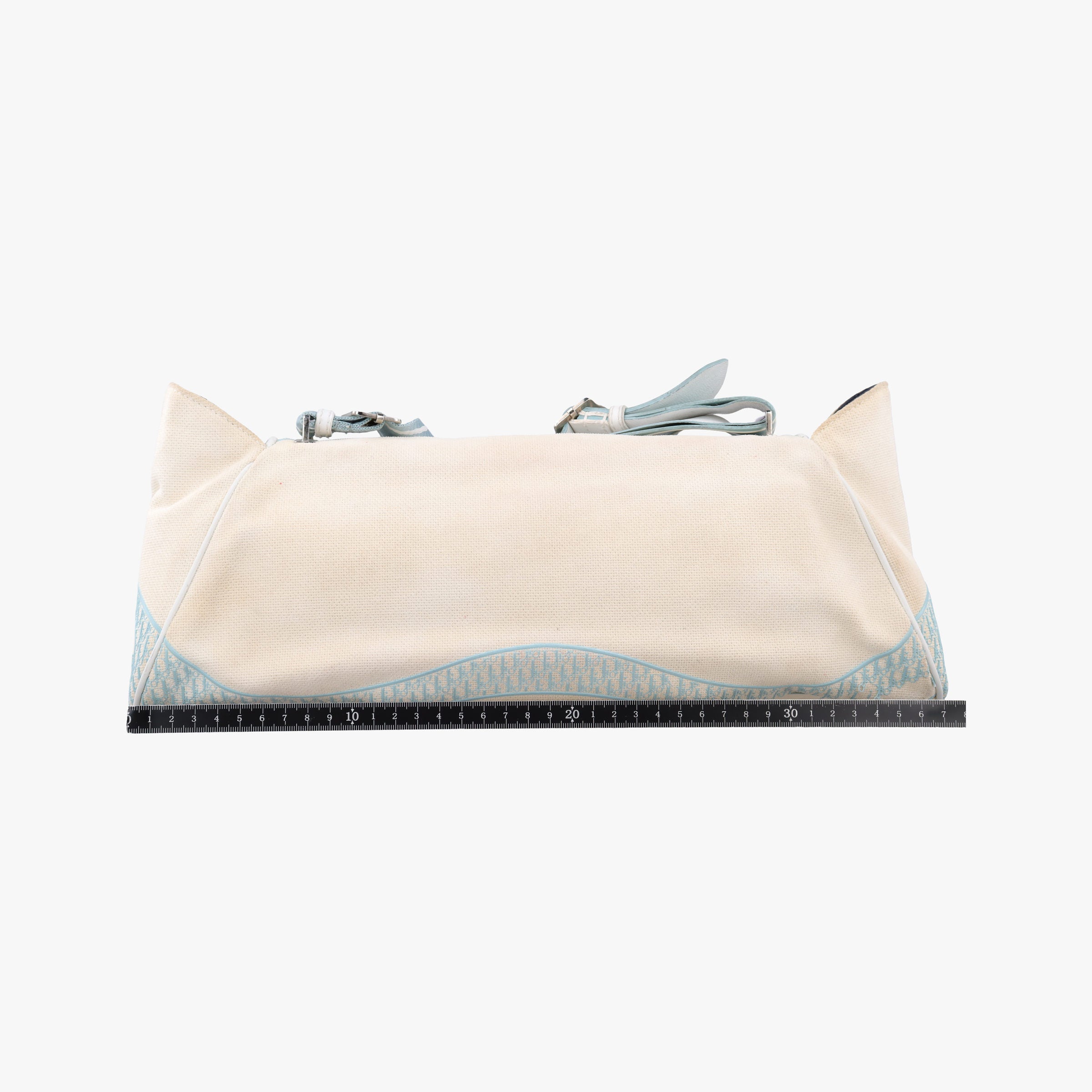 Vintage Christian Dior vintage Trotter White x blue canvas  shoulderbag | stylenewstar