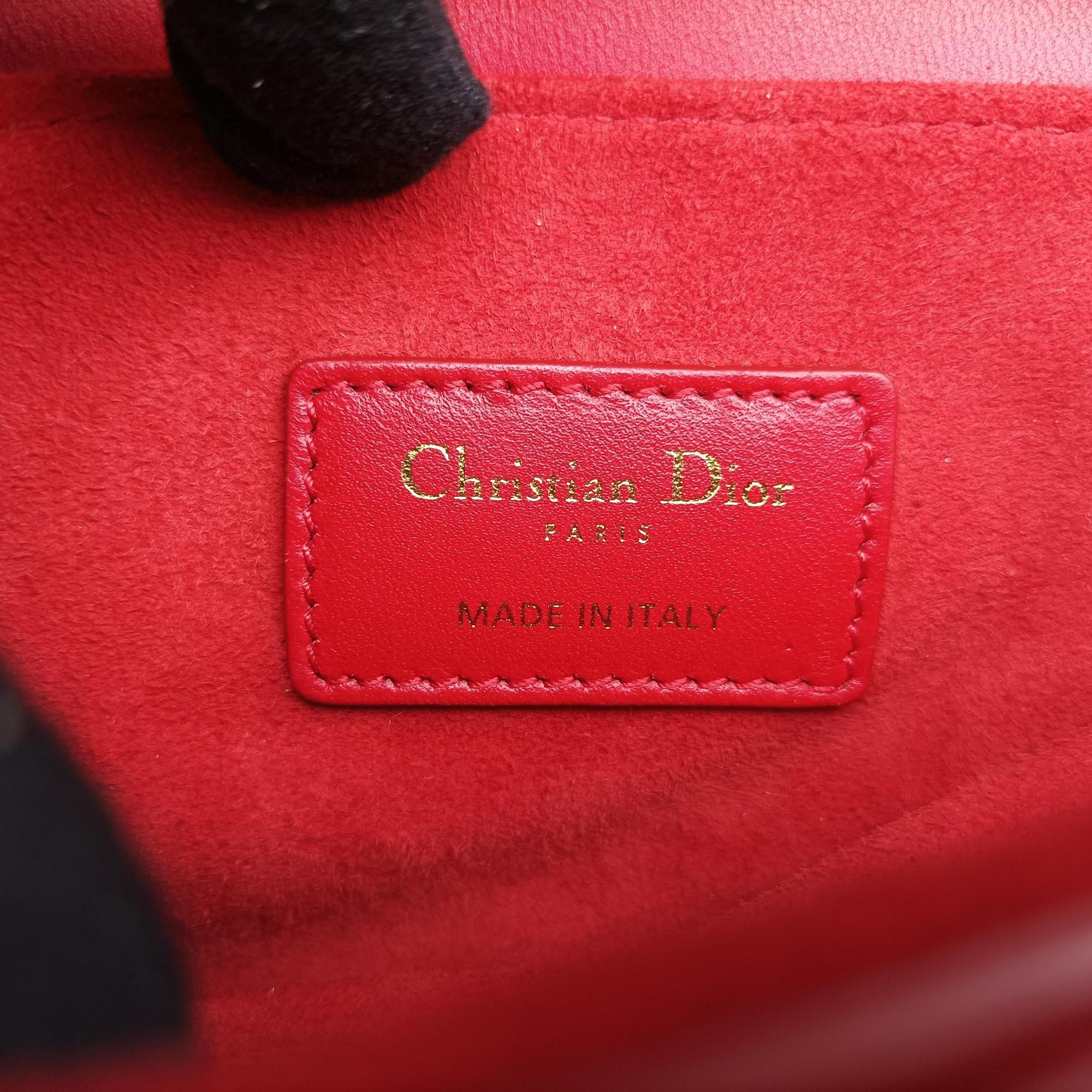 Pre-owned Christian Dior Flowers Saddle Red leather  handbag | stylenewstar