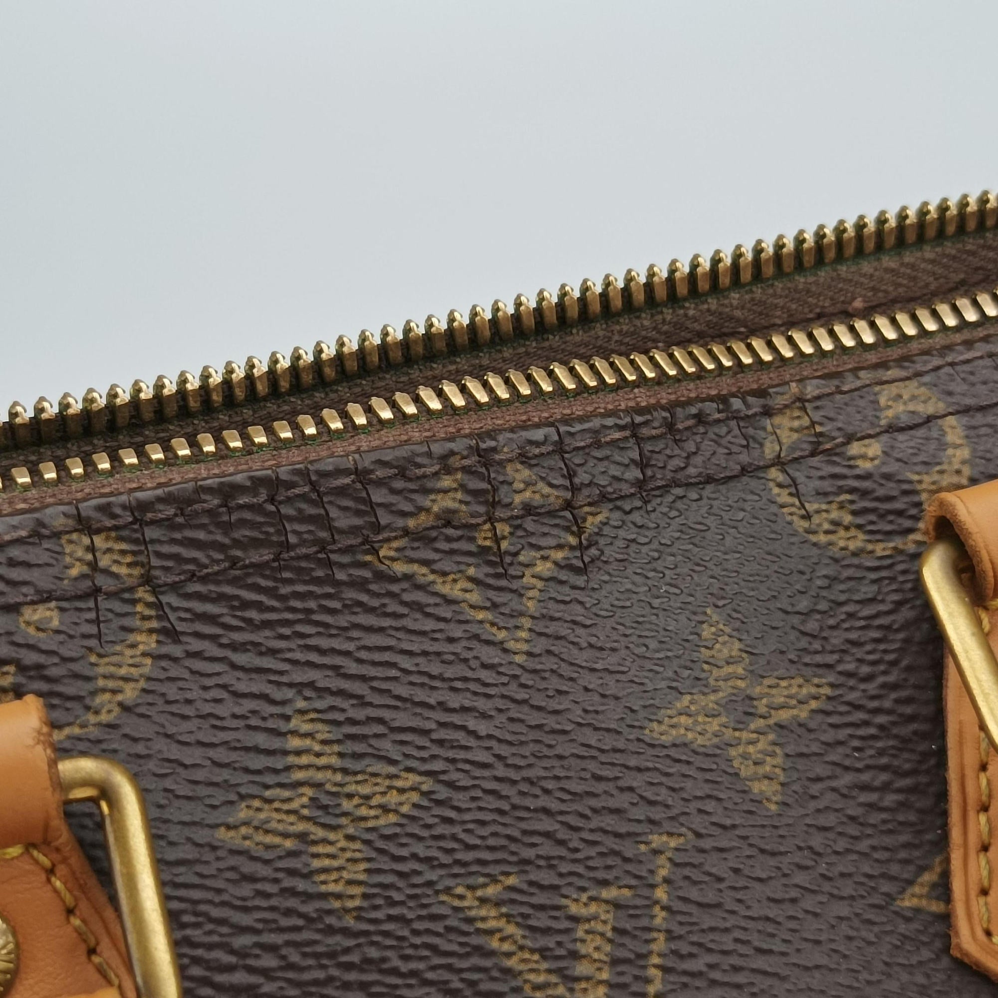 Pre-owned Louis Vuitton Speedy 25 brown Monogram Canvas M41113 shoulderbag | stylenewstar