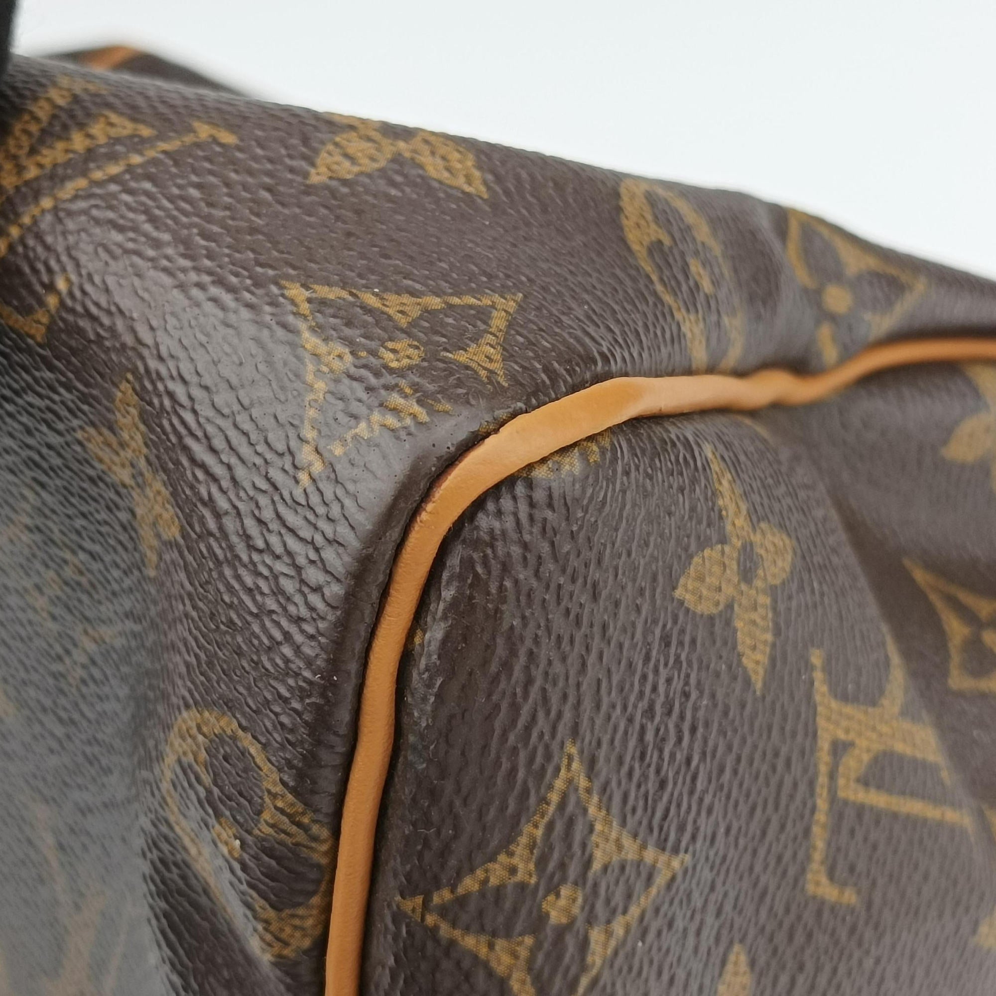 Pre-owned Louis Vuitton Speedy 25 brown Monogram Canvas M41113 shoulderbag | stylenewstar