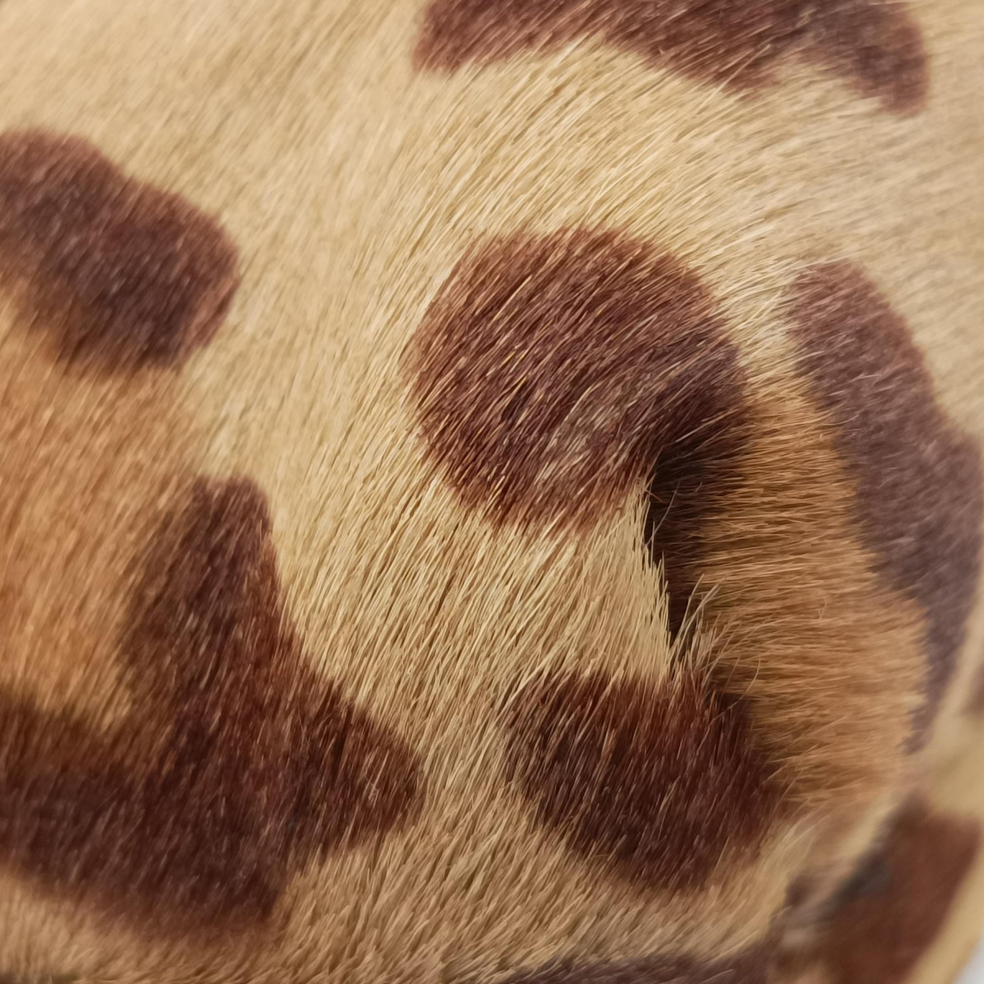 Pre-owned Prada Cheetah Micro Brown x Multicolour ponyhair  handbag | stylenewstar