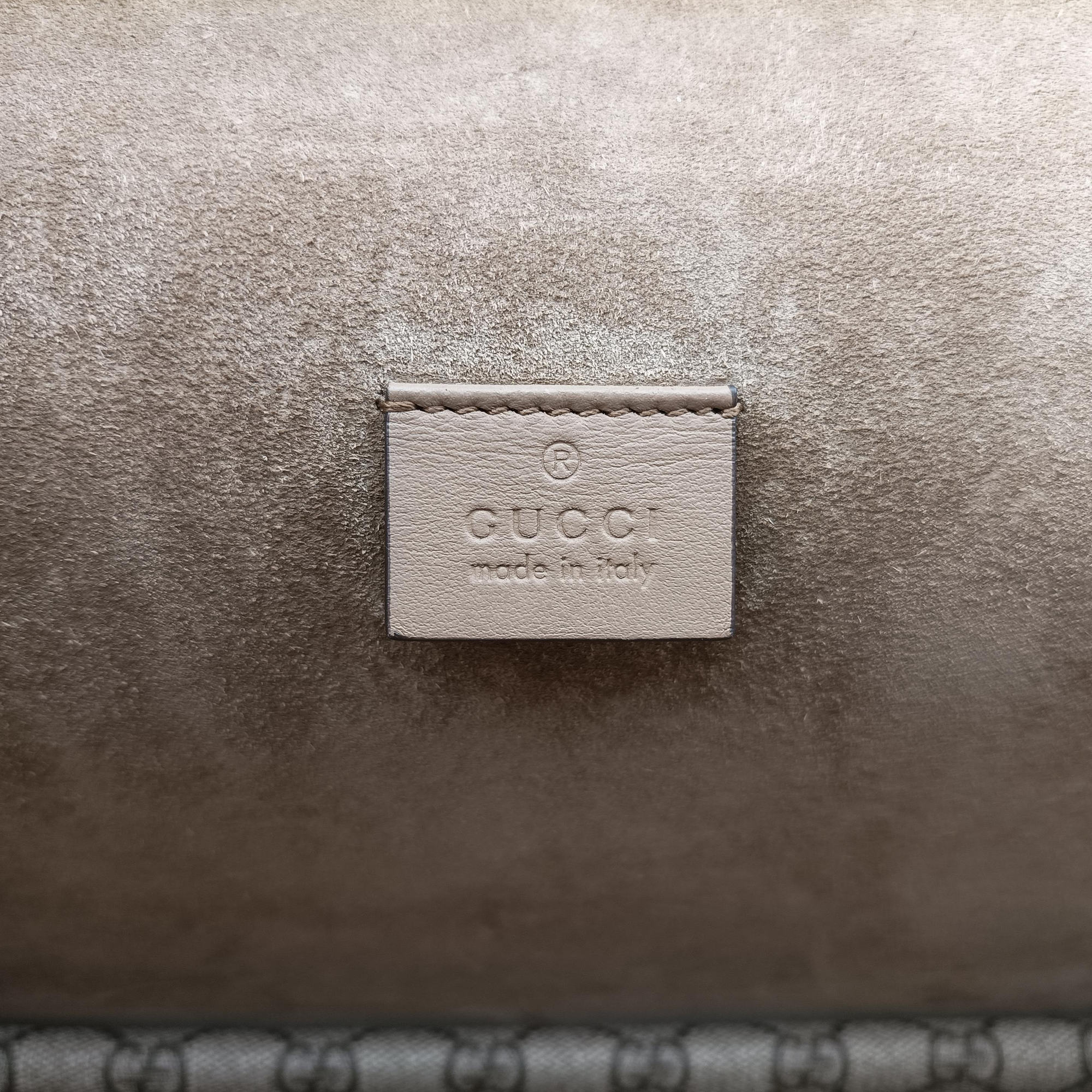 Pre-owned Gucci Dionysus Brown PVC coated canvas x Suede 403348 shoulderbag | stylenewstar
