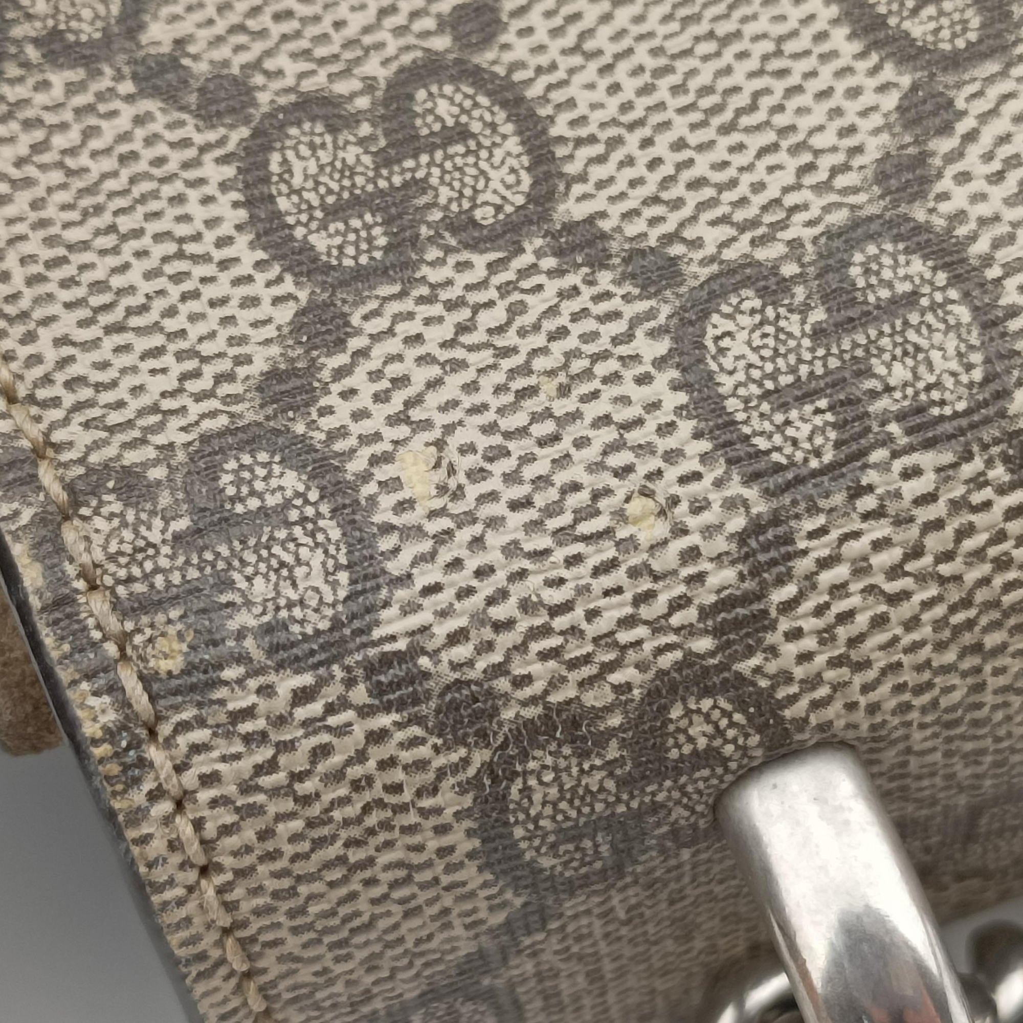 Pre-owned Gucci Dionysus Brown PVC coated canvas x Suede 403348 shoulderbag | stylenewstar