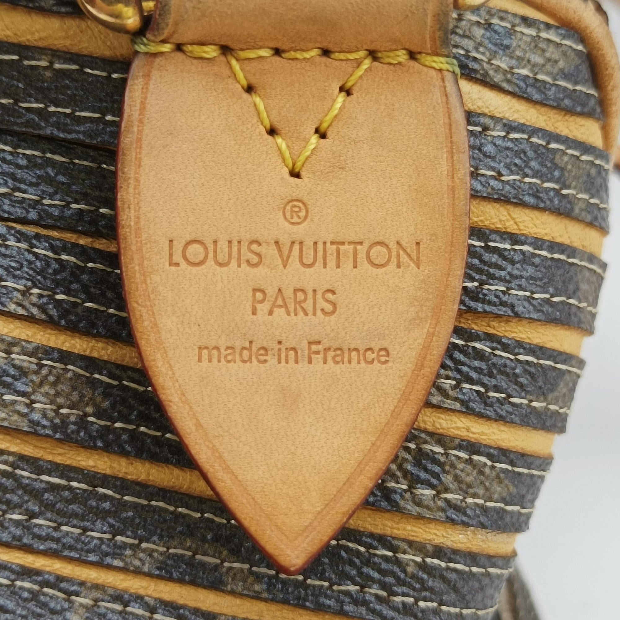 Pre-owned Louis Vuitton Eden Speedy Bandouliere 30 Argent Monogram Eden Canvas M40358 shoulderbag | stylenewstar