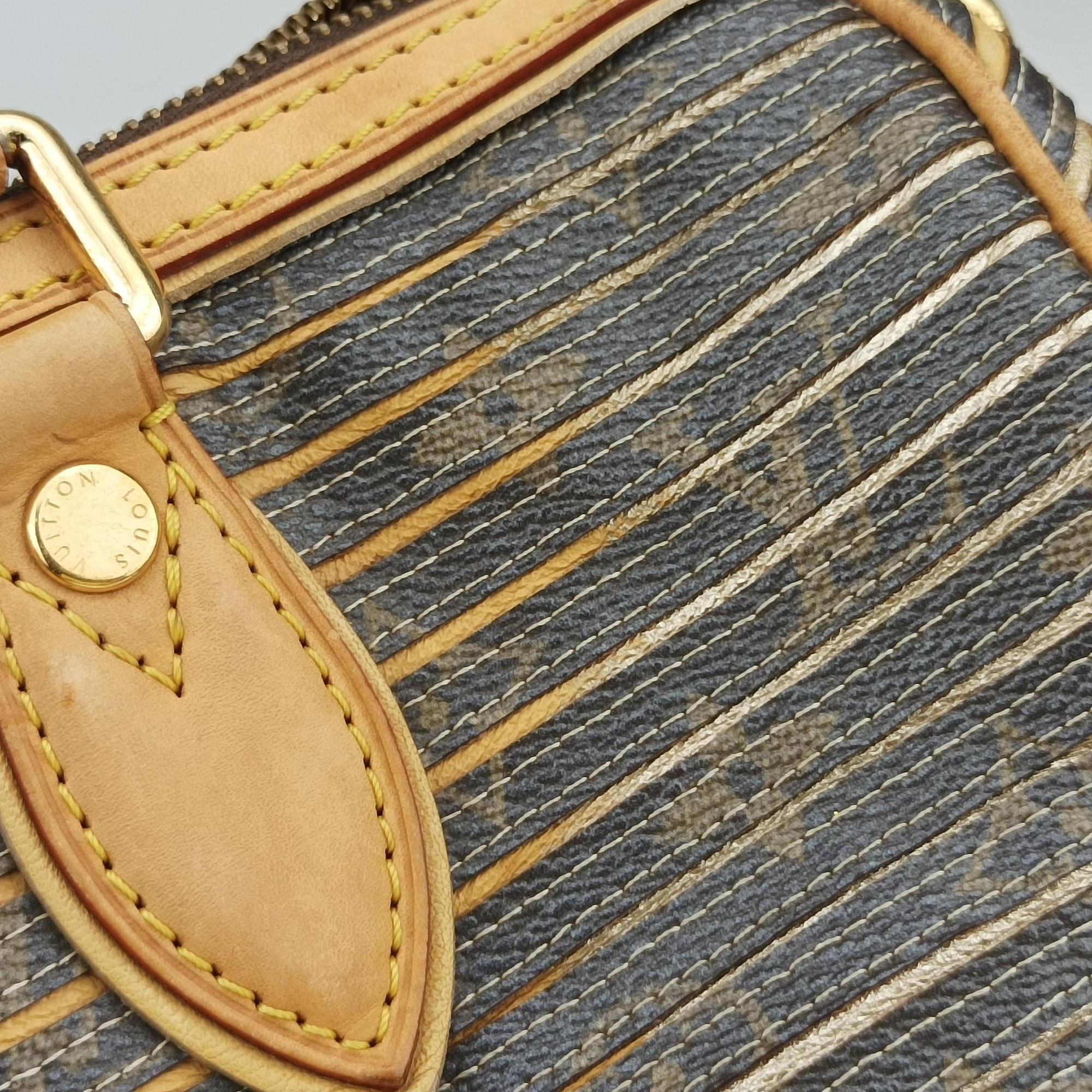 Pre-owned Louis Vuitton Eden Speedy Bandouliere 30 Argent Monogram Eden Canvas M40358 shoulderbag | stylenewstar