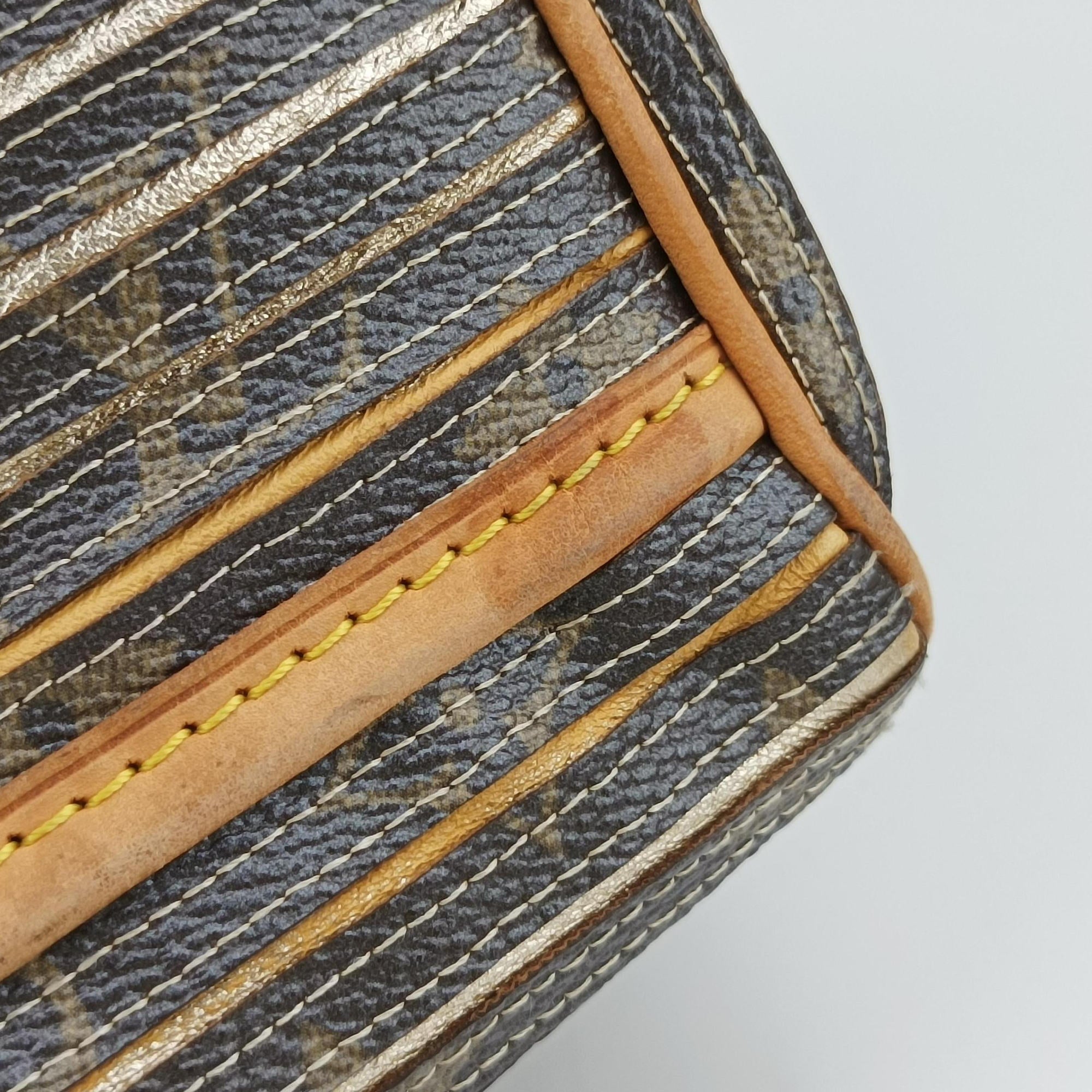 Pre-owned Louis Vuitton Eden Speedy Bandouliere 30 Argent Monogram Eden Canvas M40358 shoulderbag | stylenewstar
