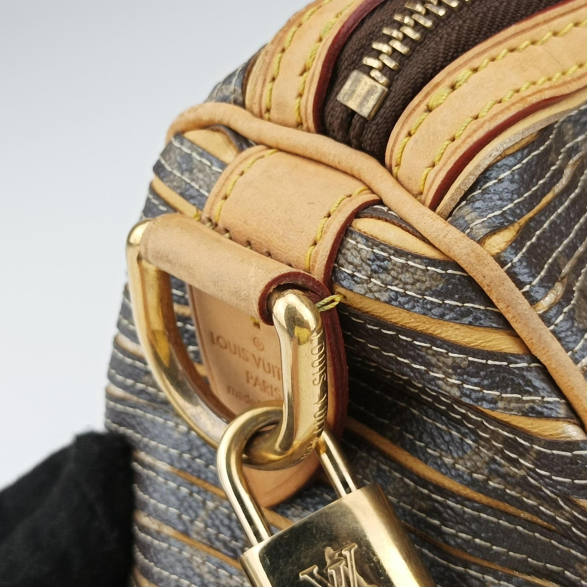 Pre-owned Louis Vuitton Eden Speedy Bandouliere 30 Argent Monogram Eden Canvas M40358 shoulderbag | stylenewstar