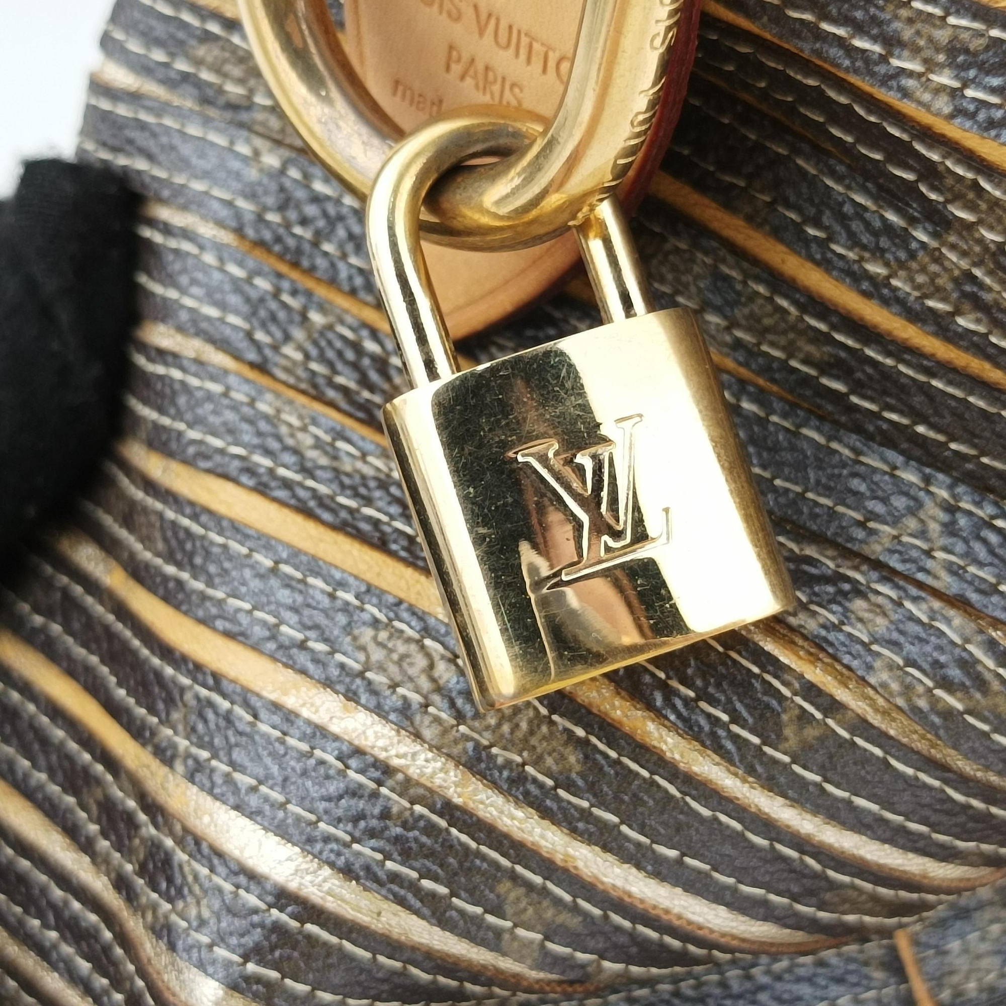Pre-owned Louis Vuitton Eden Speedy Bandouliere 30 Argent Monogram Eden Canvas M40358 shoulderbag | stylenewstar