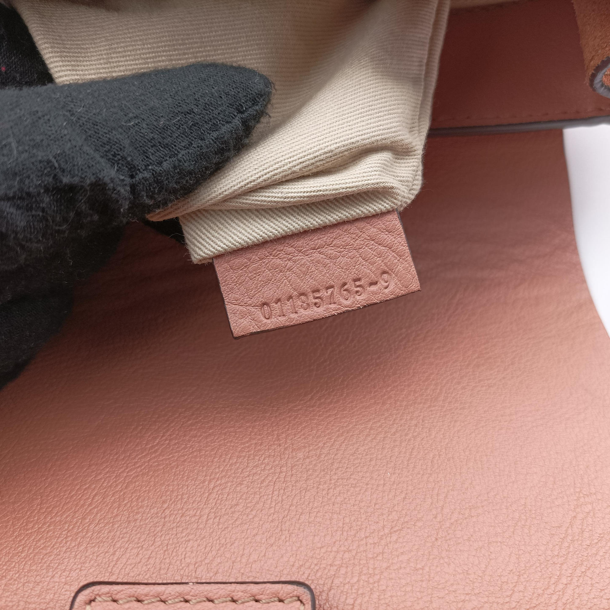 Pre-owned Chloe FAYE mini Brown Suede × leather  backpack/rucksack | stylenewstar