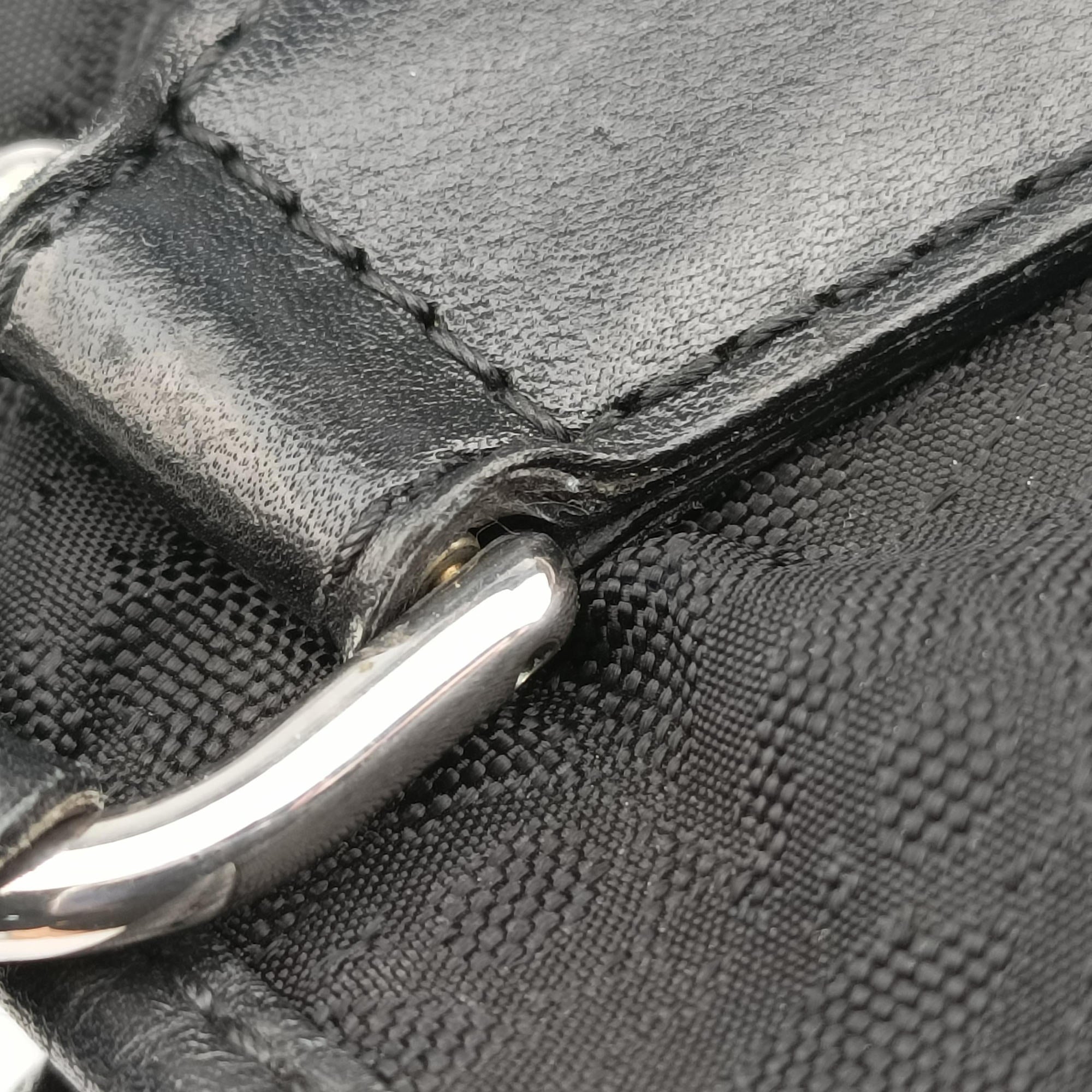 Pre-owned Christian Dior Lovely Black Diorissimo Canvas × Leather  handbag | stylenewstar