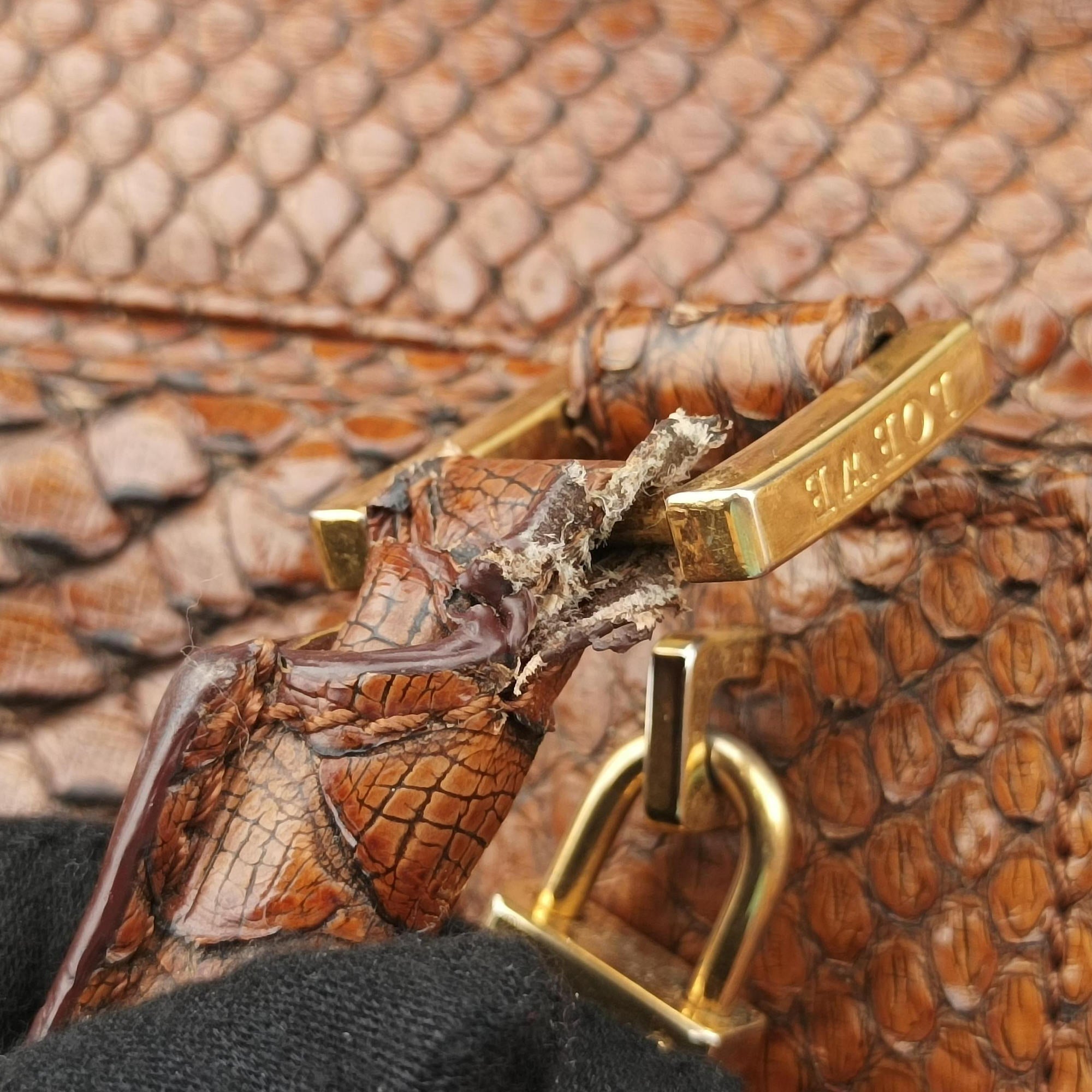 Pre-owned Loewe Amazona Brown Python × Nappa Leather  handbag | stylenewstar