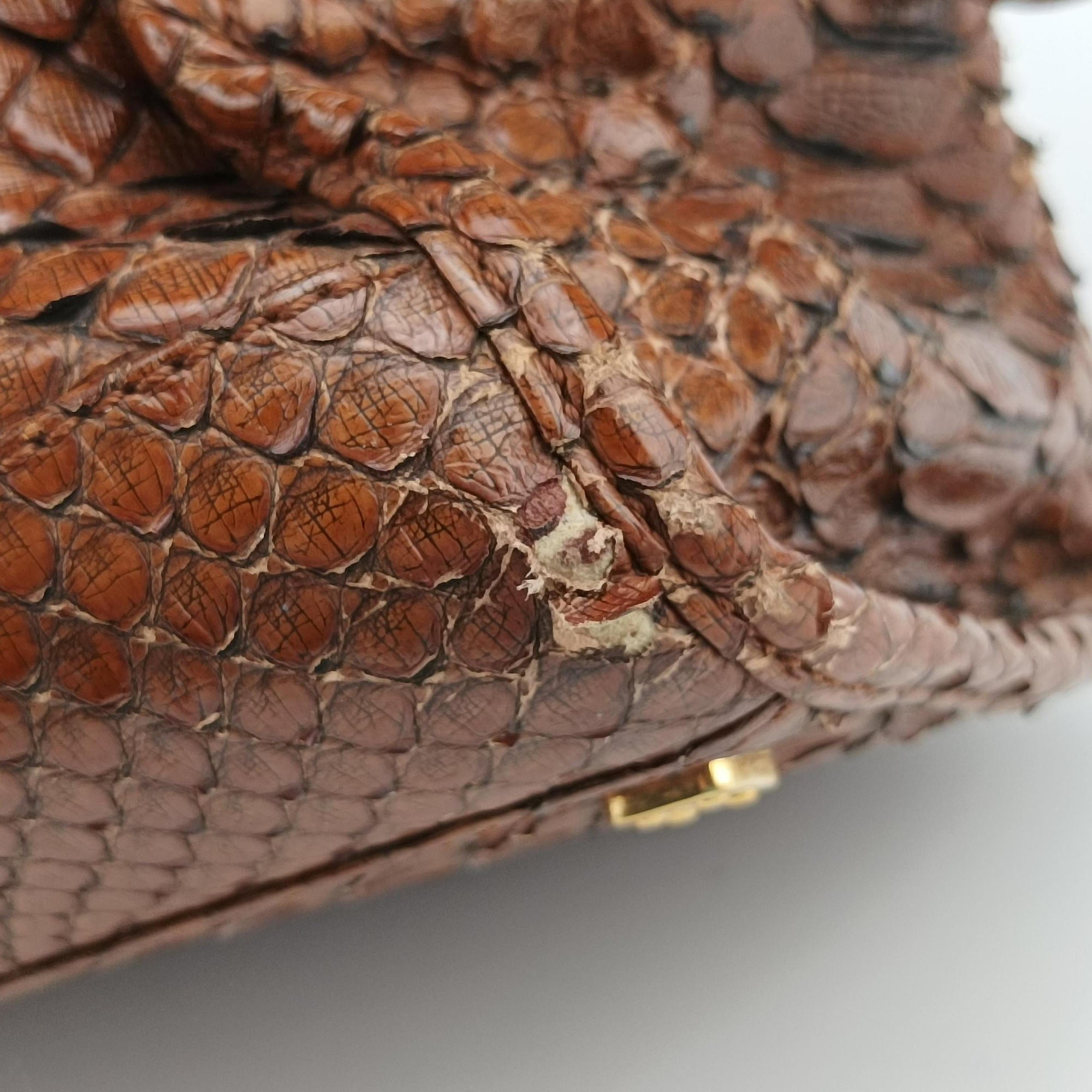Pre-owned Loewe Amazona Brown Python × Nappa Leather  handbag | stylenewstar