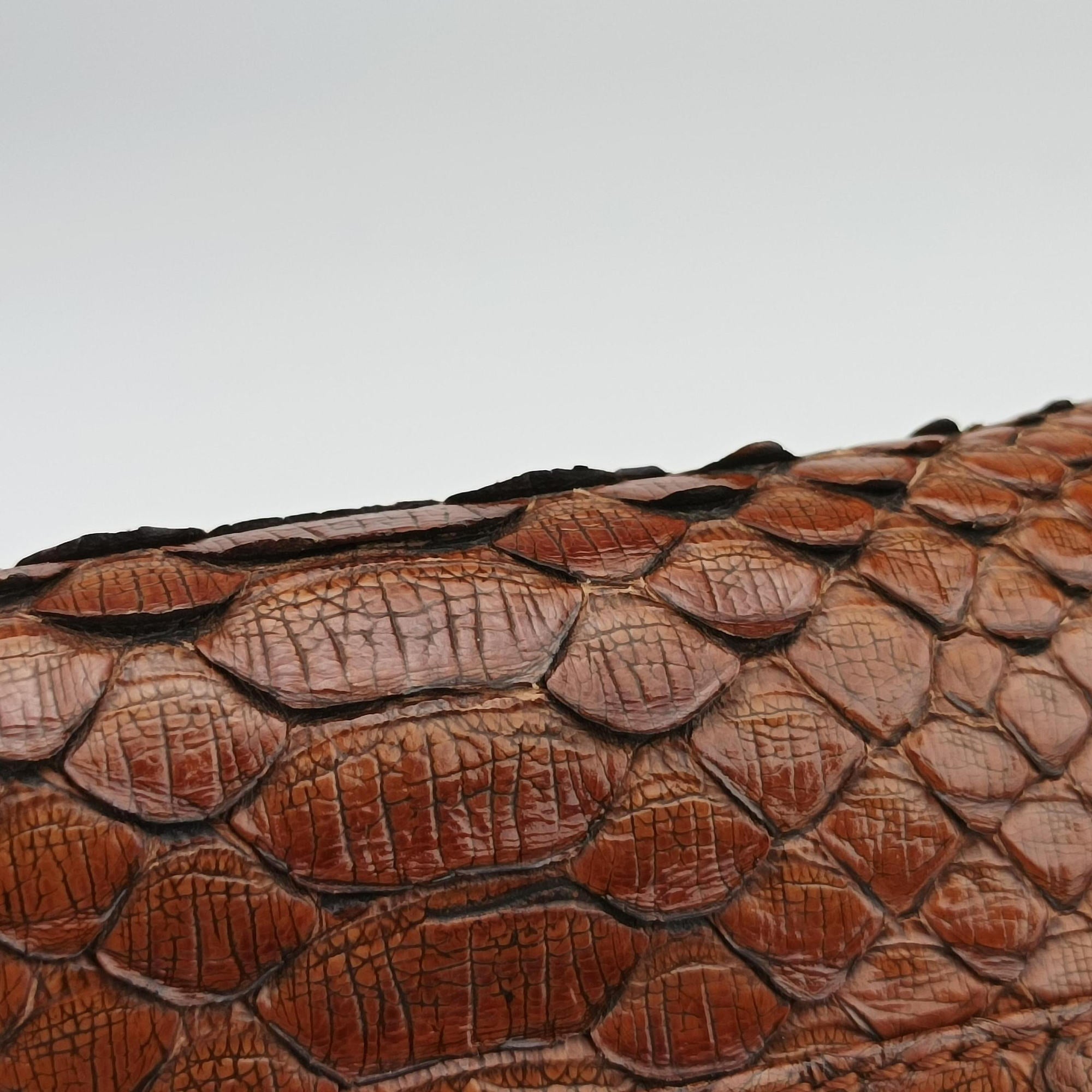 Pre-owned Loewe Amazona Brown Python × Nappa Leather  handbag | stylenewstar