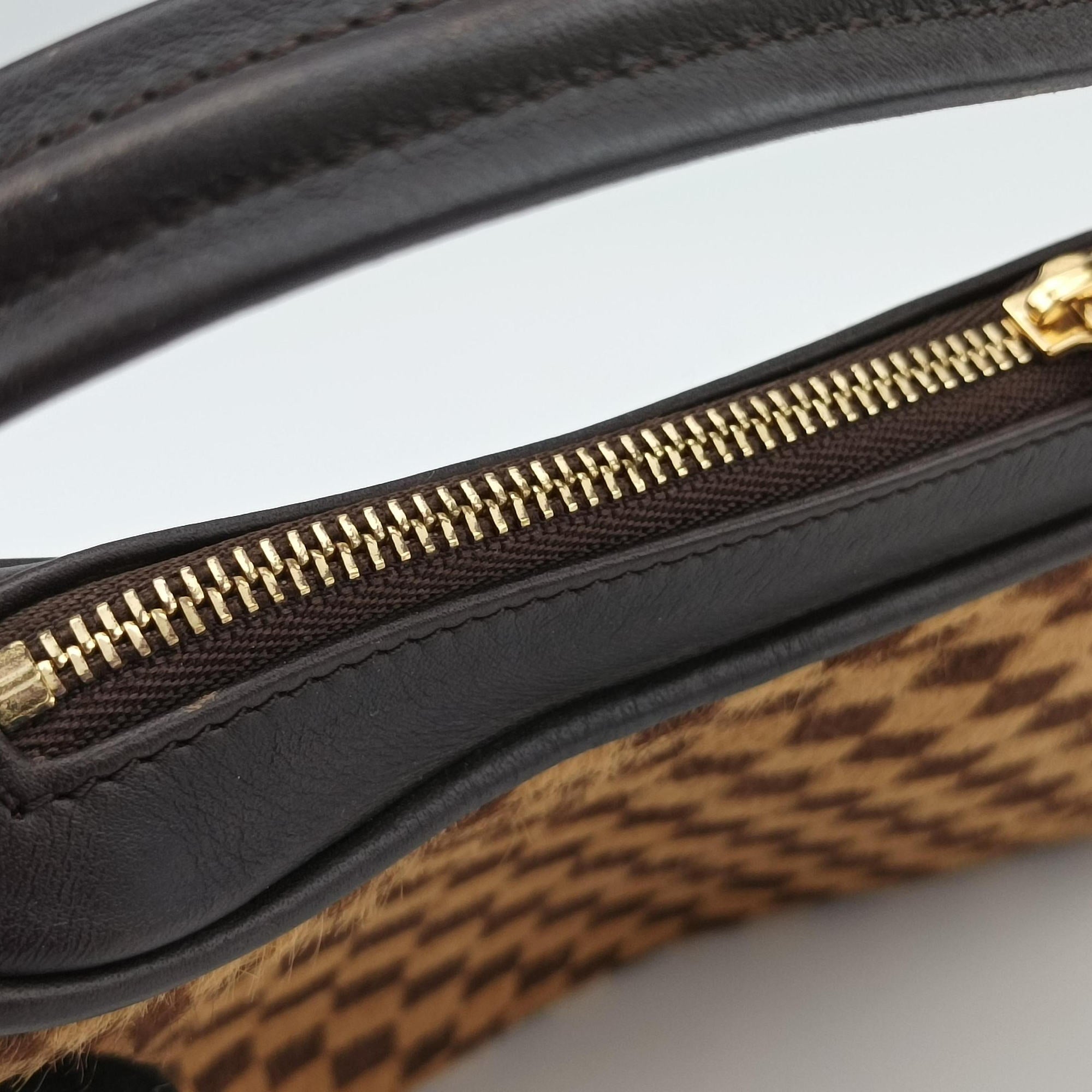 Pre-owned Louis Vuitton Damier Sauvage Brown×Beige Ponyhair M92132 handbag | stylenewstar