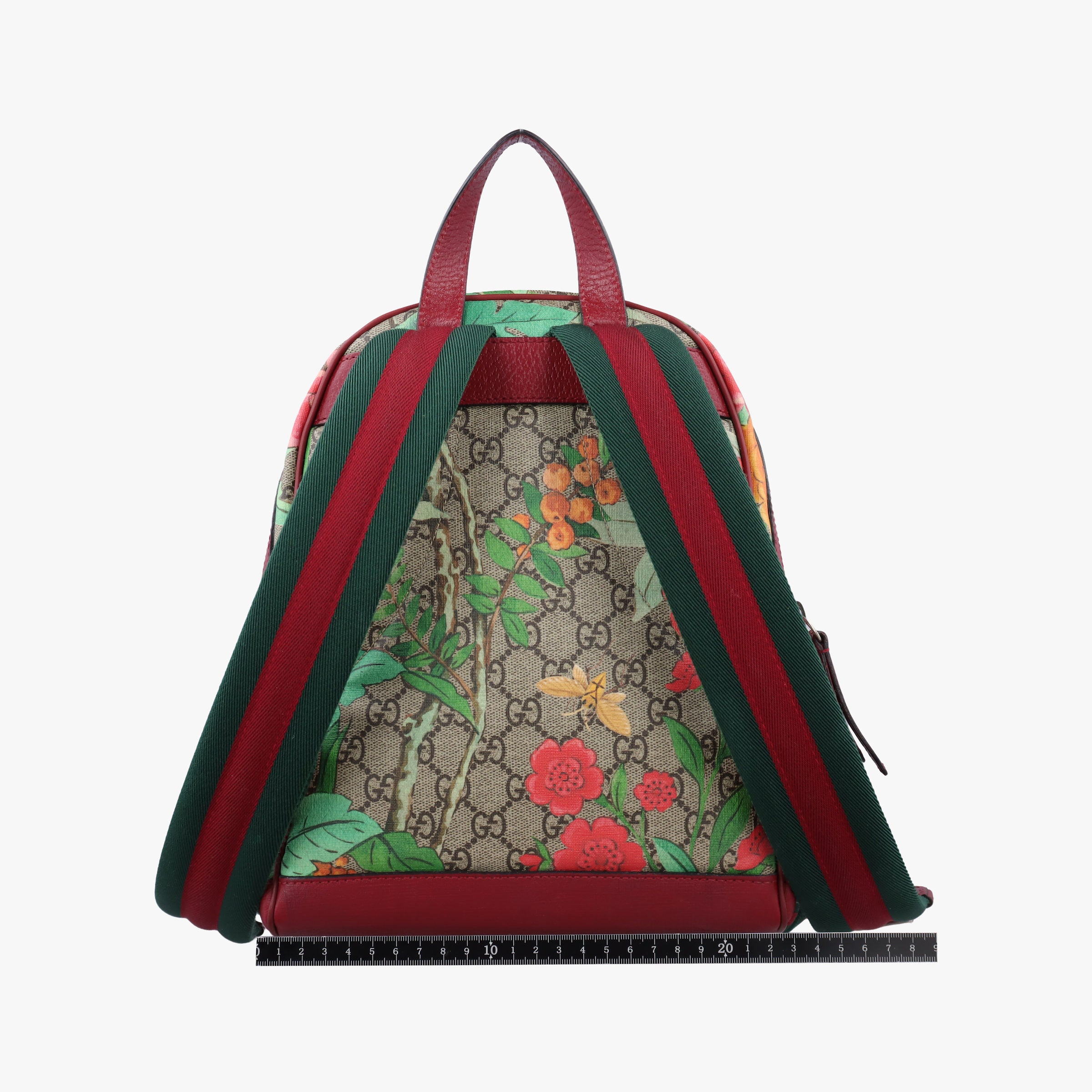 Vintage Gucci GG Supreme Tian beige×Multicolour PVC coated canvas×Leather 427042 backpack/rucksack | stylenewstar