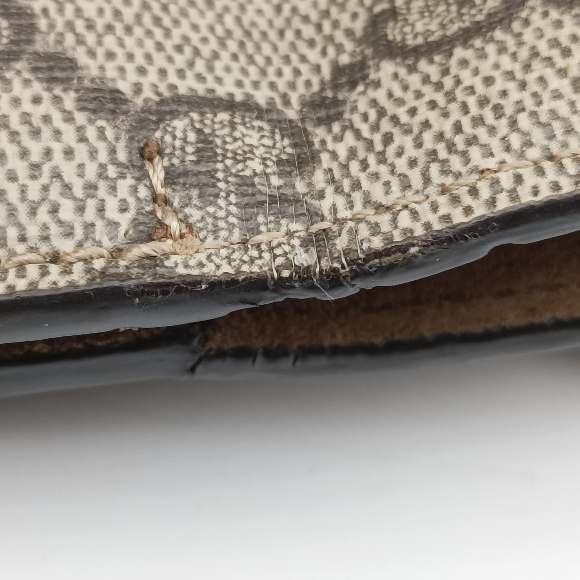 Pre-owned Gucci Dionysus Brown PVC coated canvas × suede 421970 shoulderbag | stylenewstar