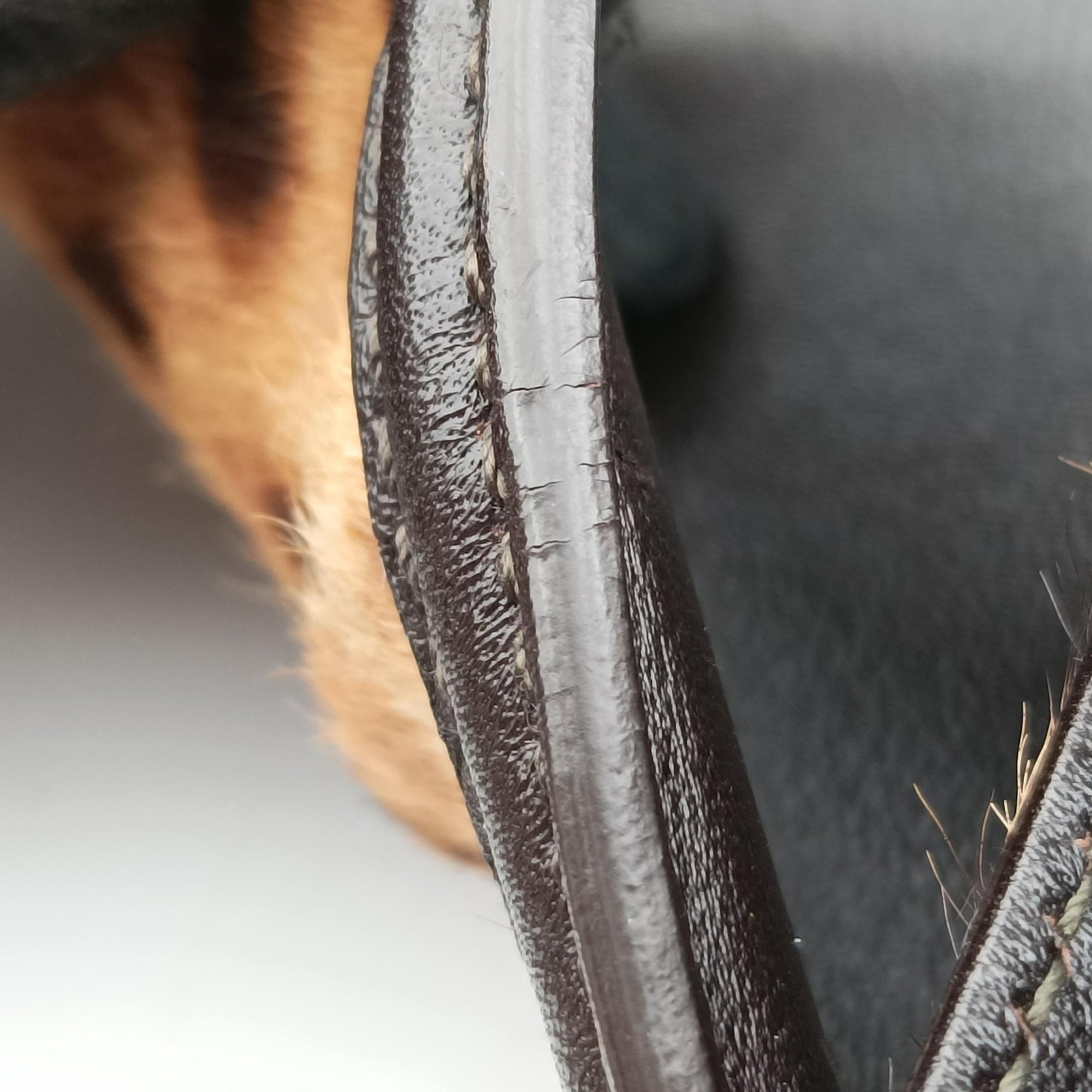 Pre-owned Ferragamo Vara Bow Brown x Black ponyhair  handbag | stylenewstar