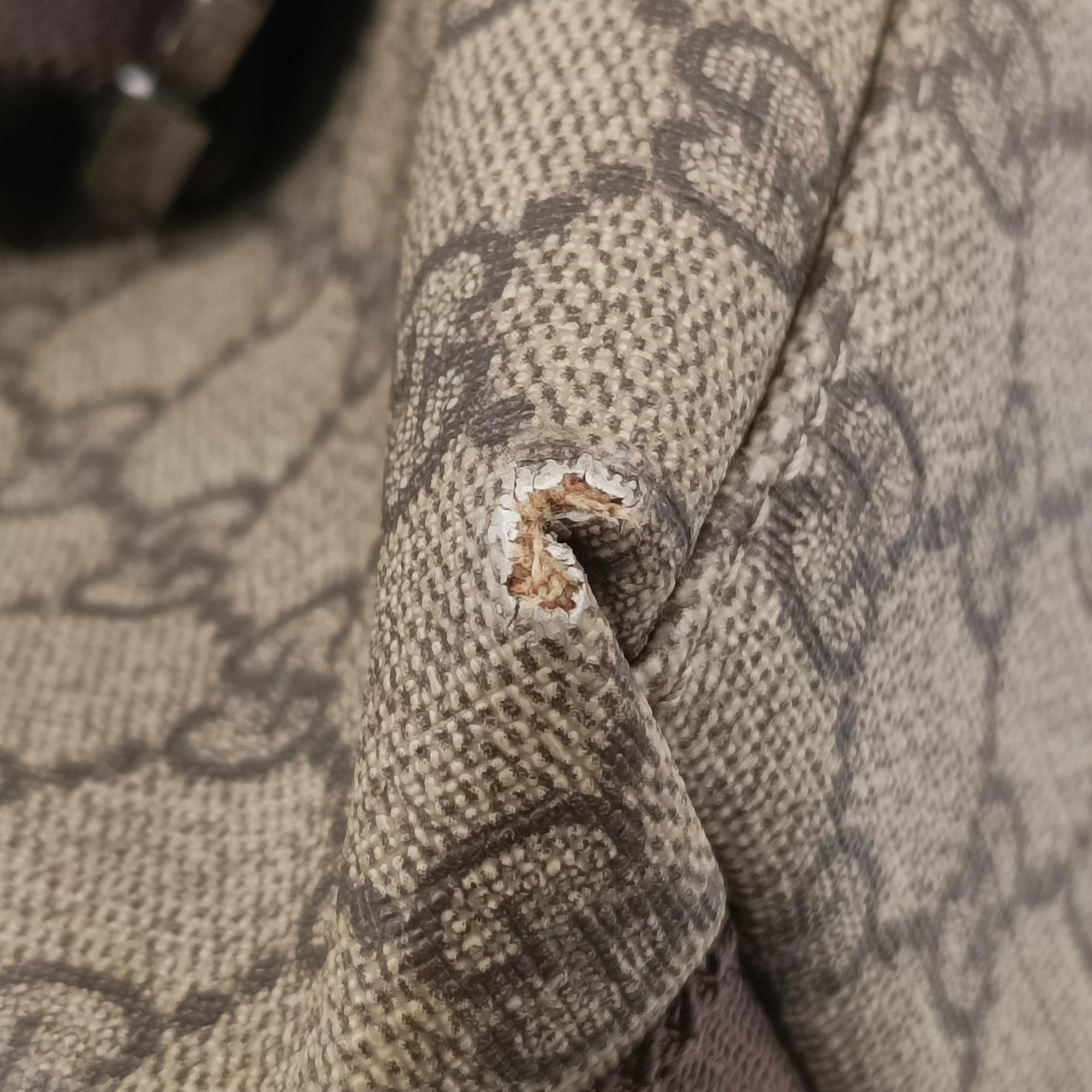 Secondhand Gucci GG Supreme Double Buckle Beige × Dark Brown PVC coated canvas 122373 214397 shoulderbag | stylenewstar