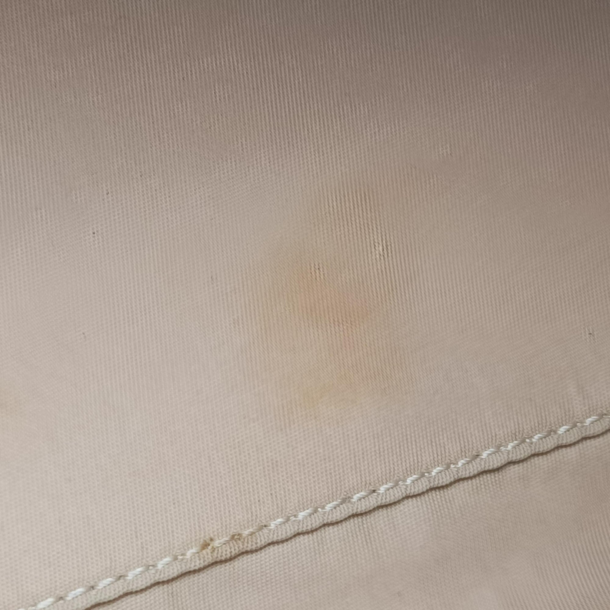 Secondhand Christian Dior Romantic Trotter Beige x White PVC coated canvas x velour  handbag | stylenewstar