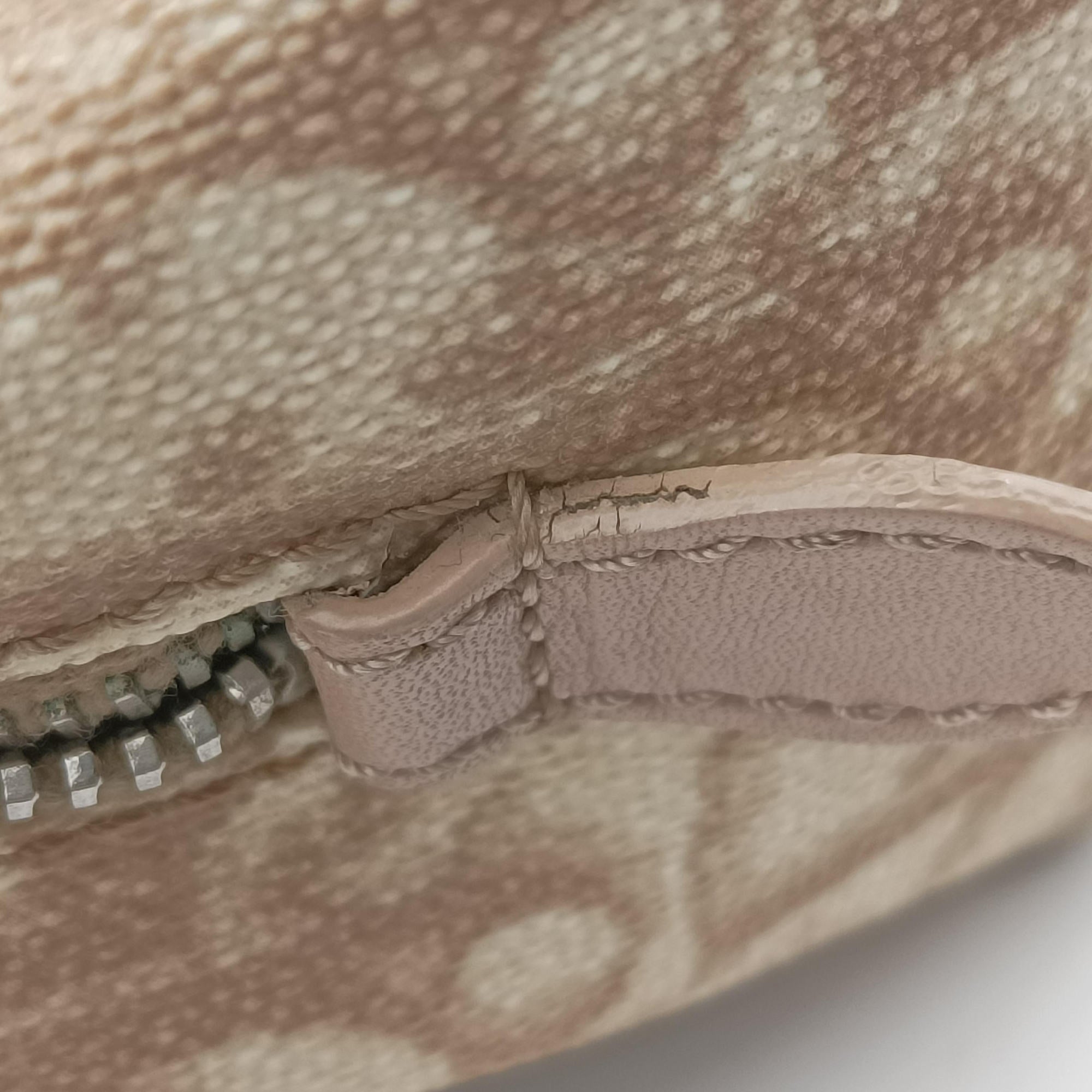 Secondhand Christian Dior Romantic Trotter Beige x White PVC coated canvas x velour  handbag | stylenewstar