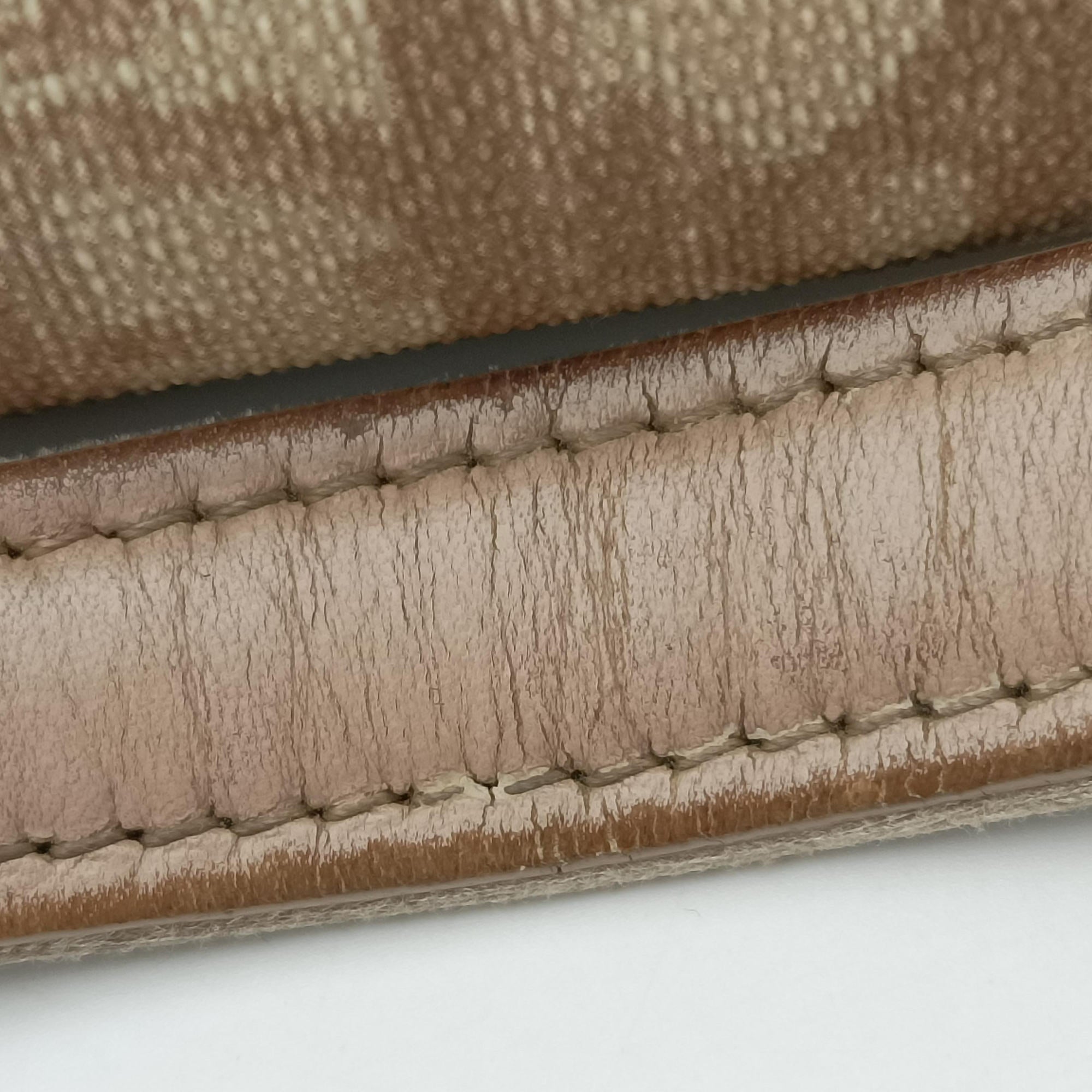 Secondhand Christian Dior Romantic Trotter Beige x White PVC coated canvas x velour  handbag | stylenewstar