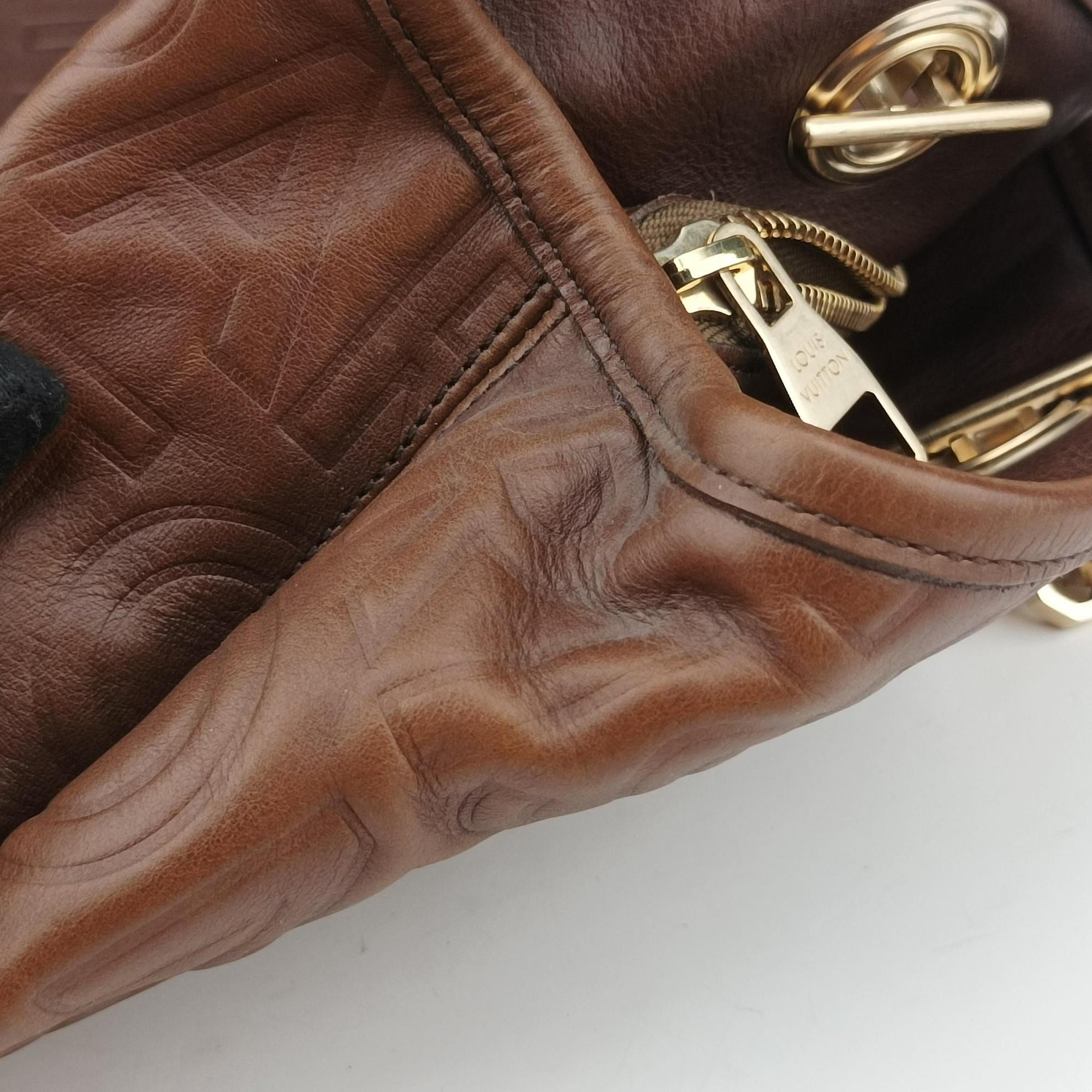 Pre-owned Louis Vuitton Whisper Moka  Monogram Paris Souple Leather M95828 handbag | stylenewstar