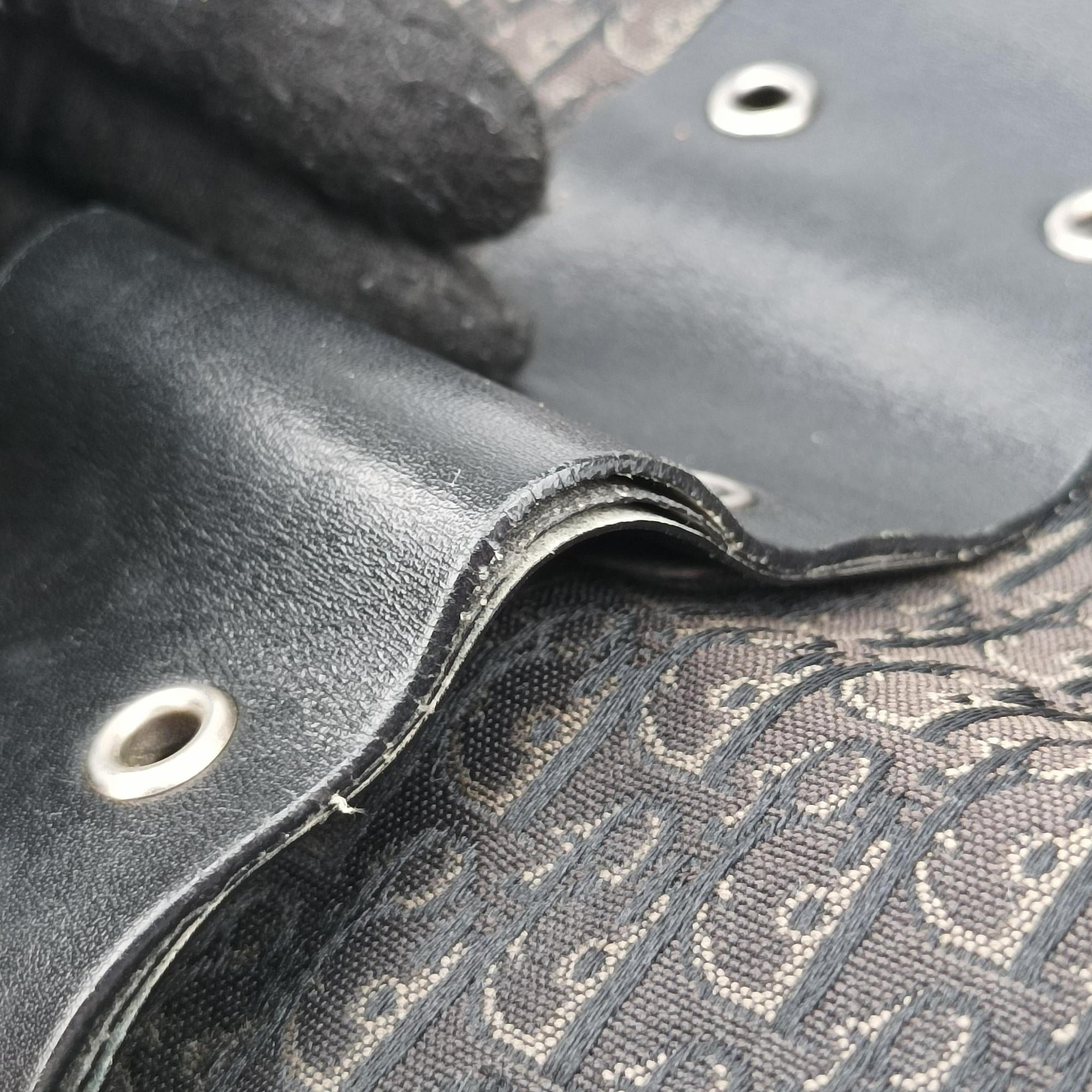 Pre-owned Christian Dior Street Chic Black canvasxleather  shoulderbag | stylenewstar