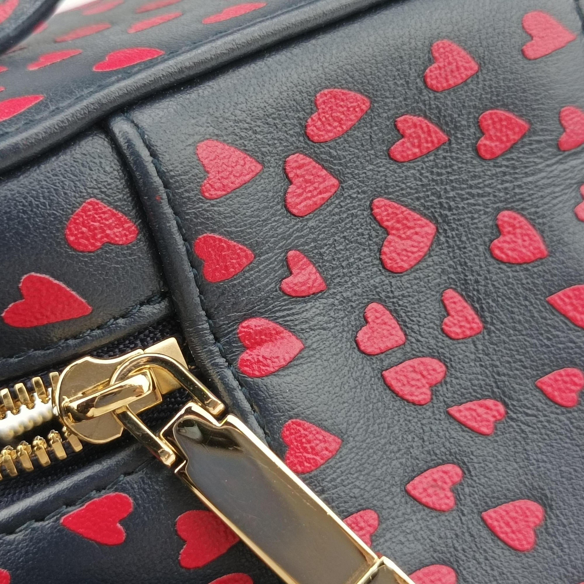 Vintage Christian Dior Micro Lady Dior Vanity Case Black×red Leather  shoulderbag | stylenewstar