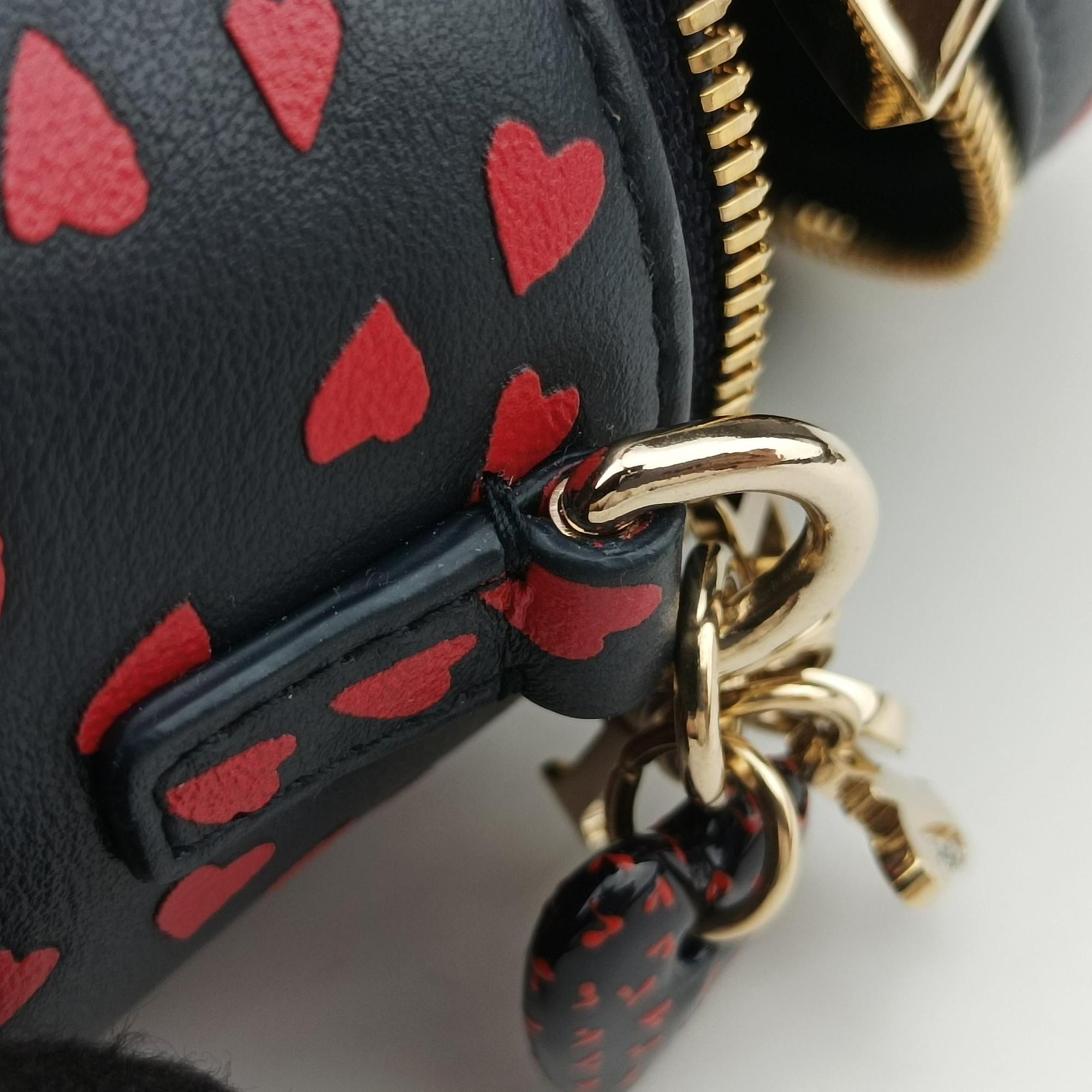 Vintage Christian Dior Micro Lady Dior Vanity Case Black×red Leather  shoulderbag | stylenewstar