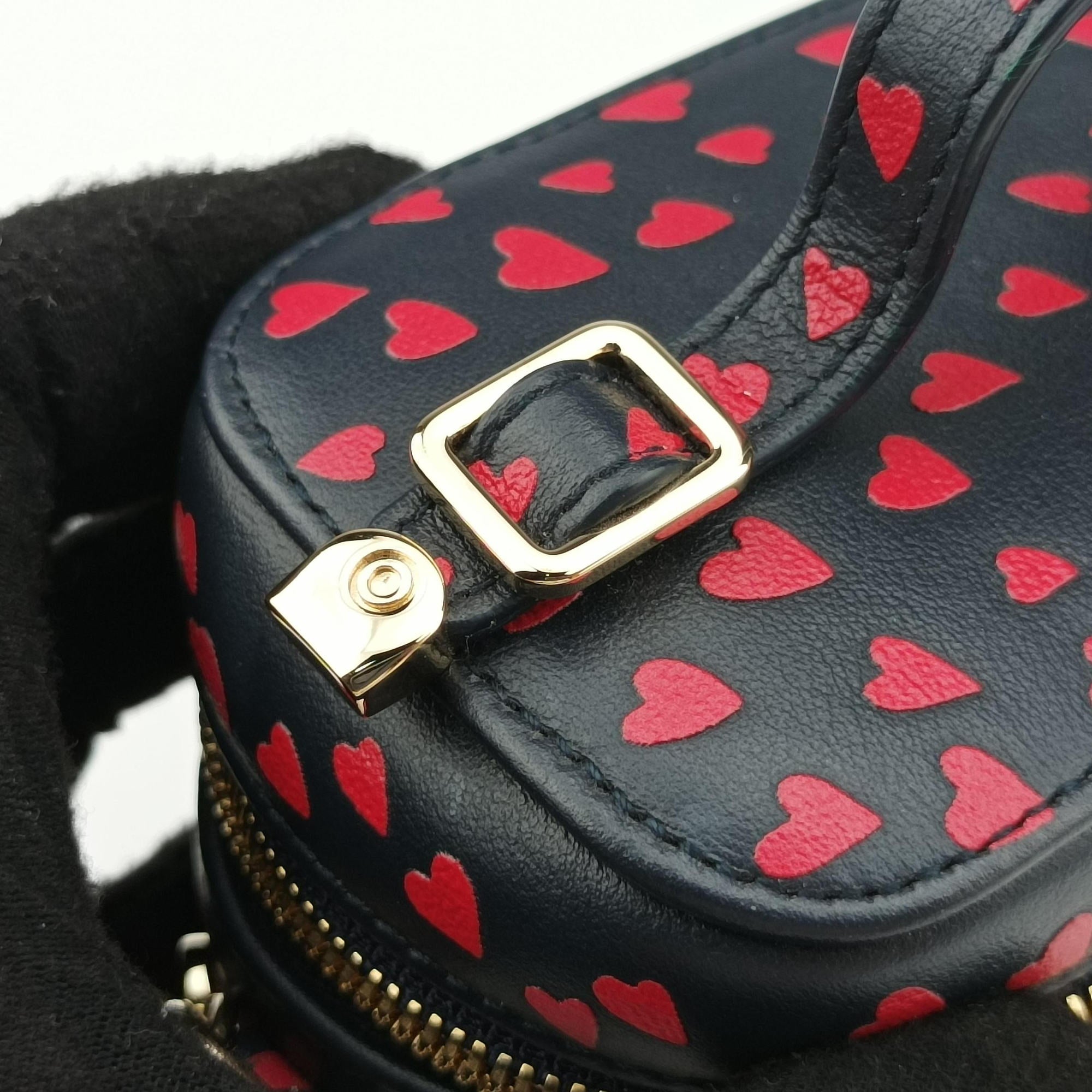 Vintage Christian Dior Micro Lady Dior Vanity Case Black×red Leather  shoulderbag | stylenewstar