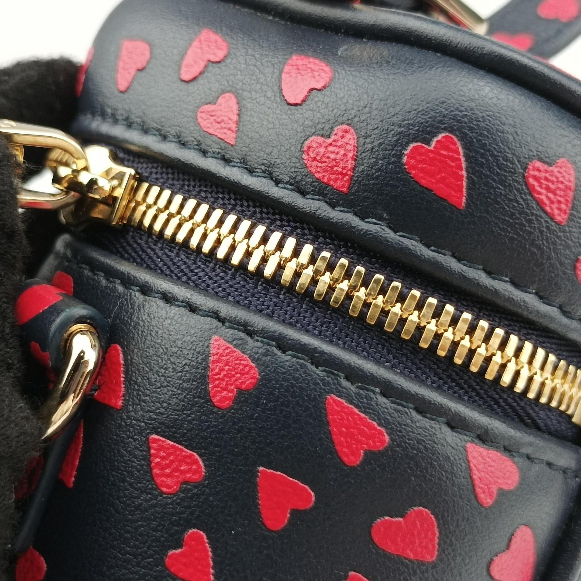 Vintage Christian Dior Micro Lady Dior Vanity Case Black×red Leather  shoulderbag | stylenewstar