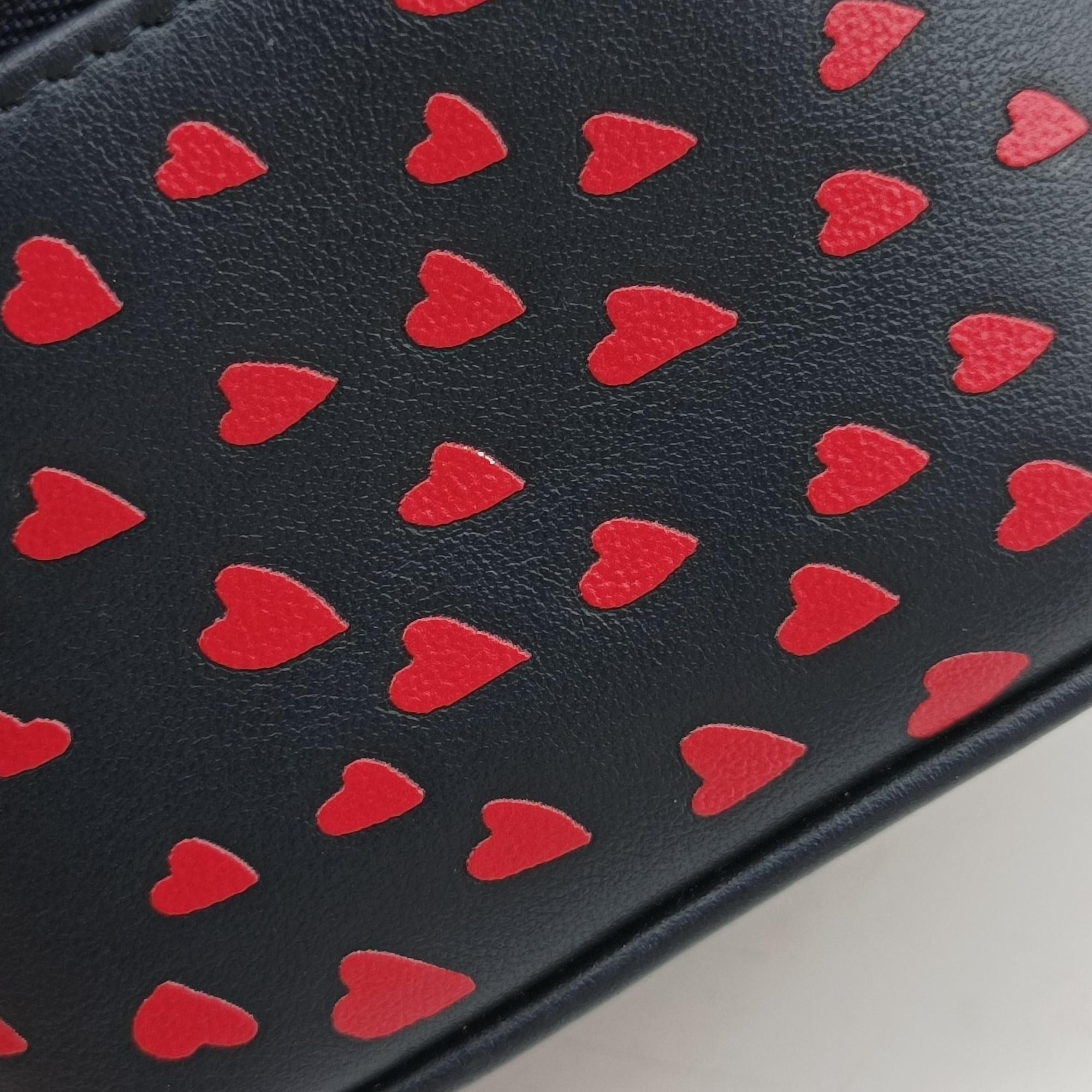 Vintage Christian Dior Micro Lady Dior Vanity Case Black×red Leather  shoulderbag | stylenewstar