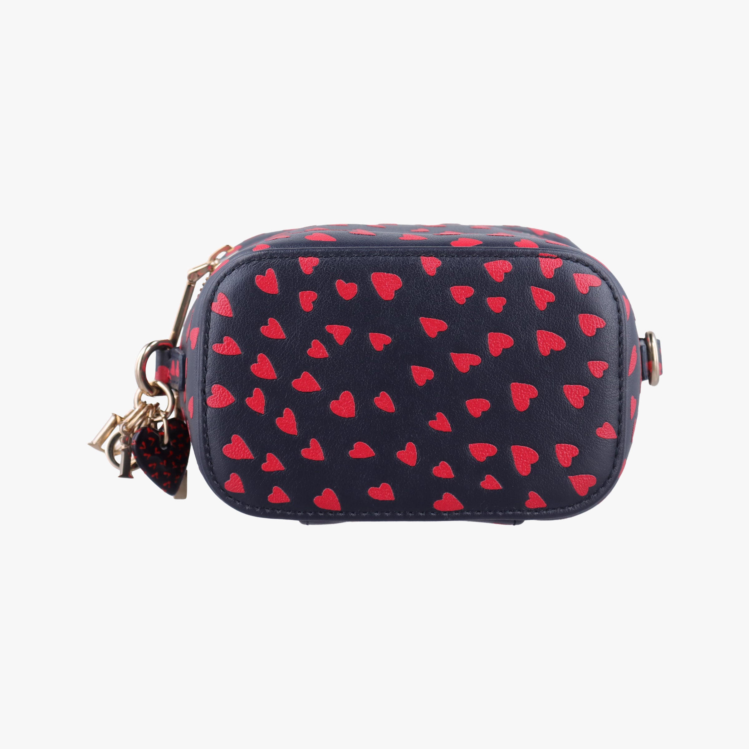 Vintage Christian Dior Micro Lady Dior Vanity Case Black×red Leather  shoulderbag | stylenewstar