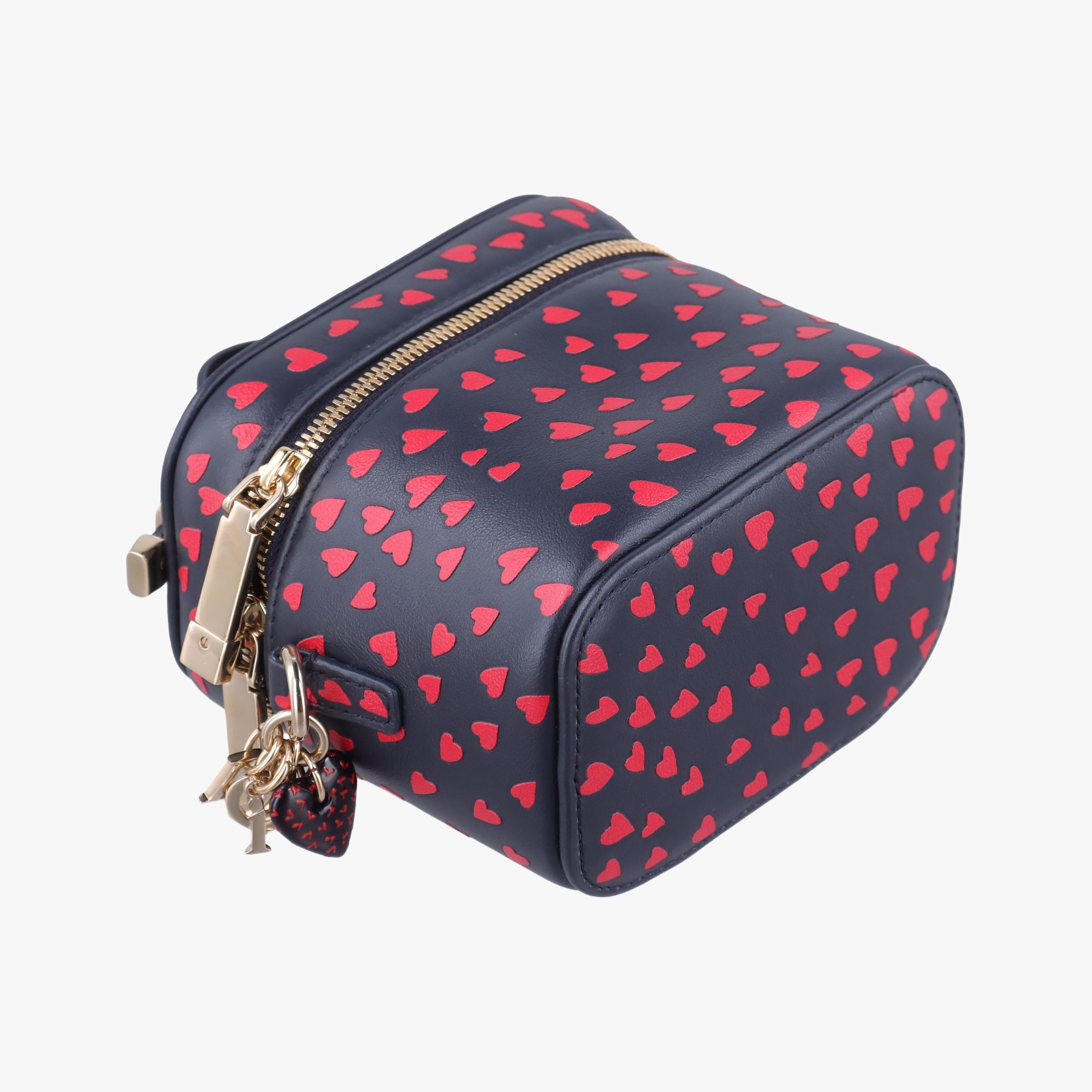 Vintage Christian Dior Micro Lady Dior Vanity Case Black×red Leather  shoulderbag | stylenewstar