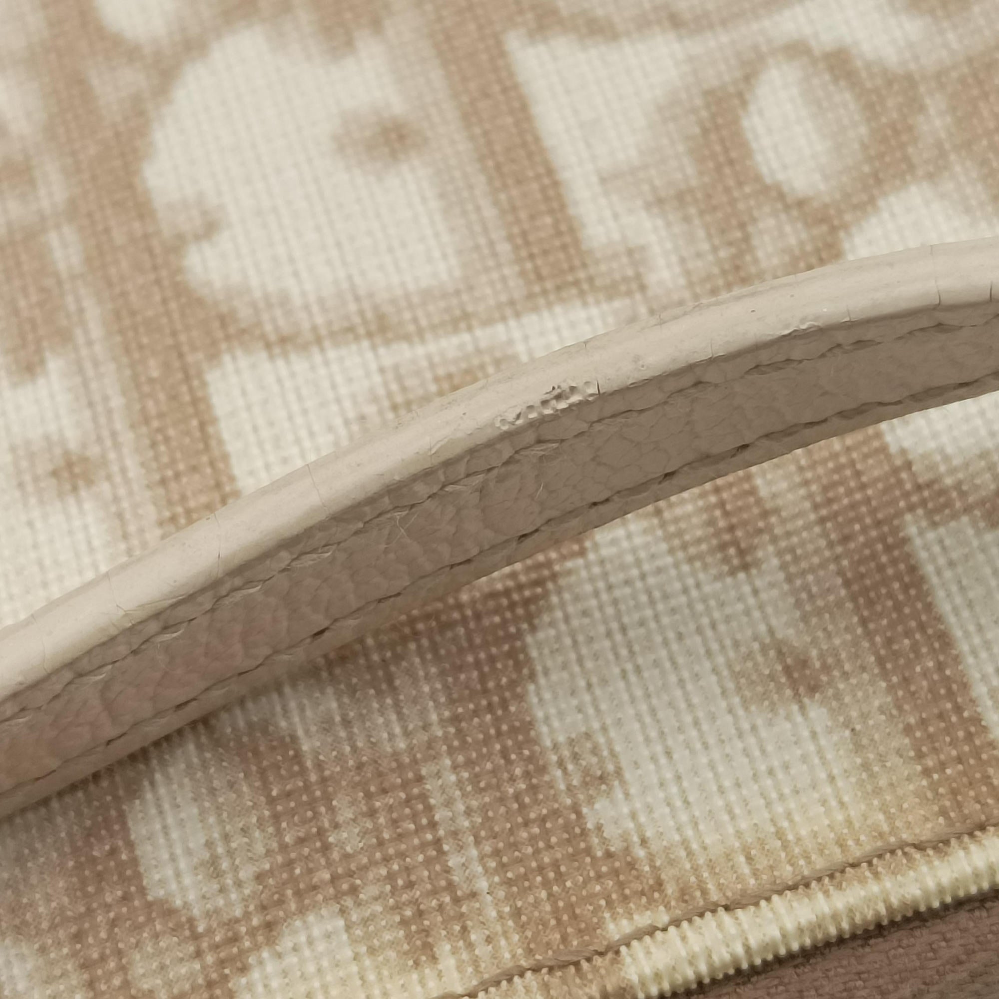 Secondhand Christian Dior Saddle Beige PVC Coated Canvas Floral Embroidery  shoulderbag | stylenewstar