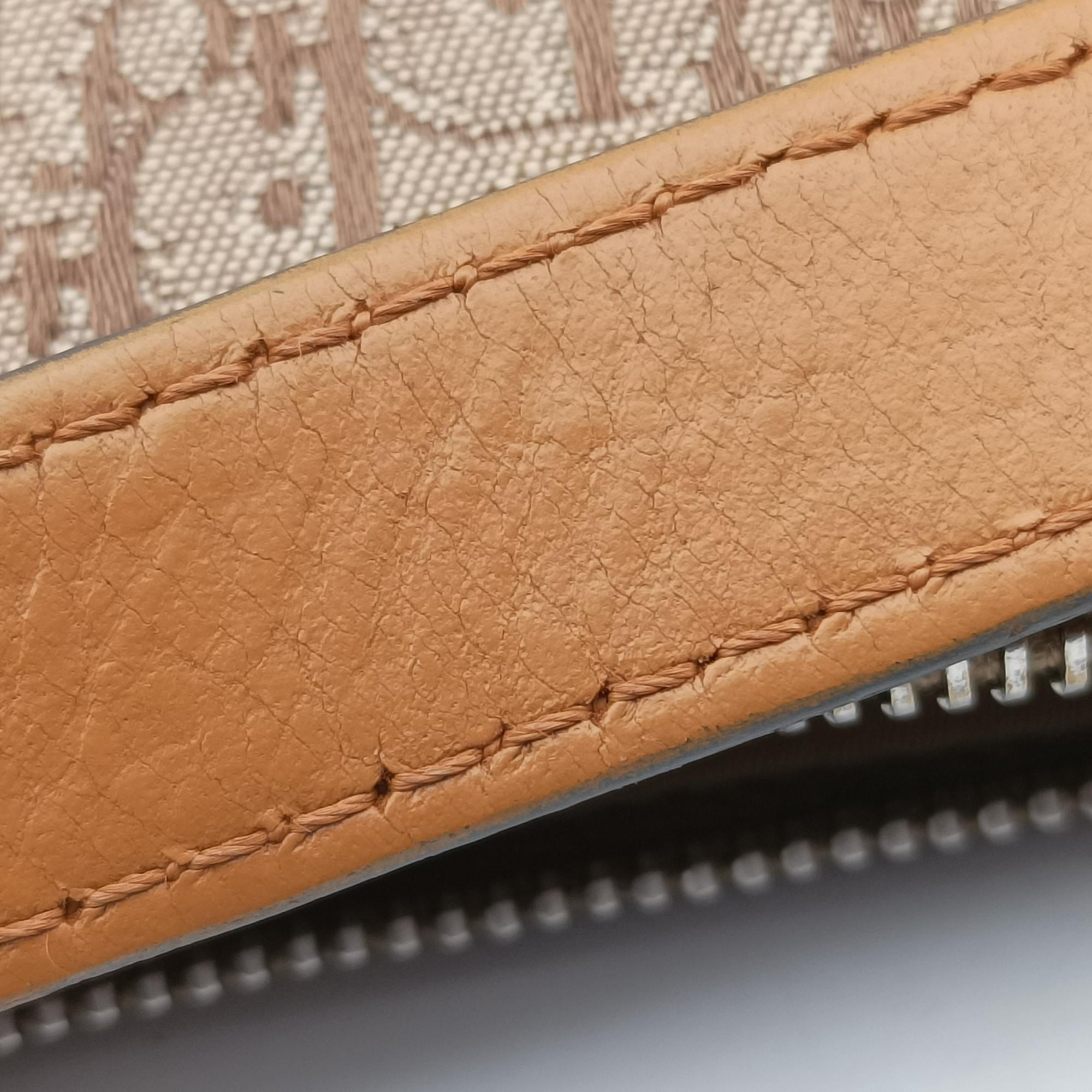 Pre-owned Christian Dior Street Chic Beige × Camel Canvas × Leather  shoulderbag | stylenewstar