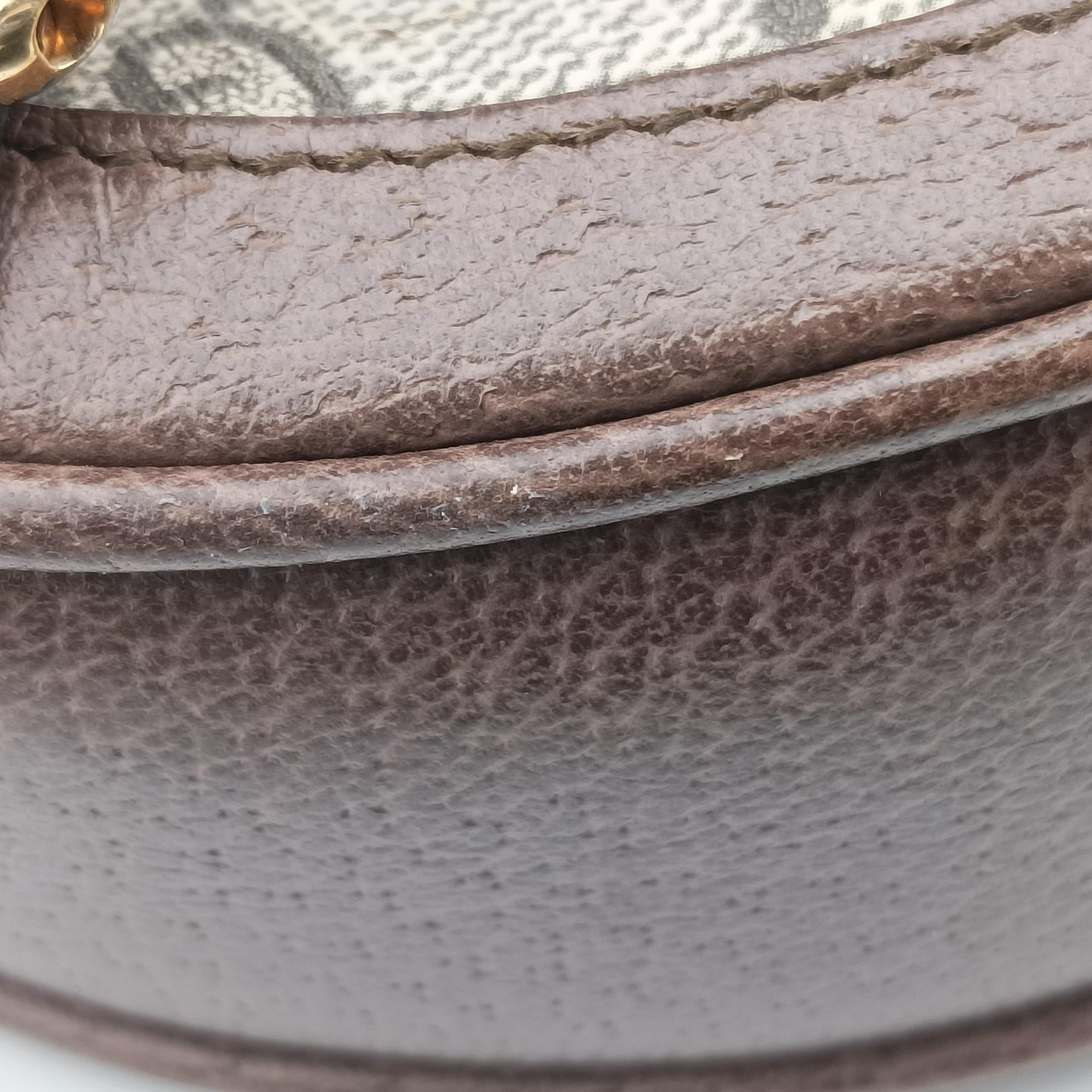 Secondhand Gucci Ophidia Brown×beige×multi PVC coated canvas×Leather 598661 backpack/rucksack | stylenewstar