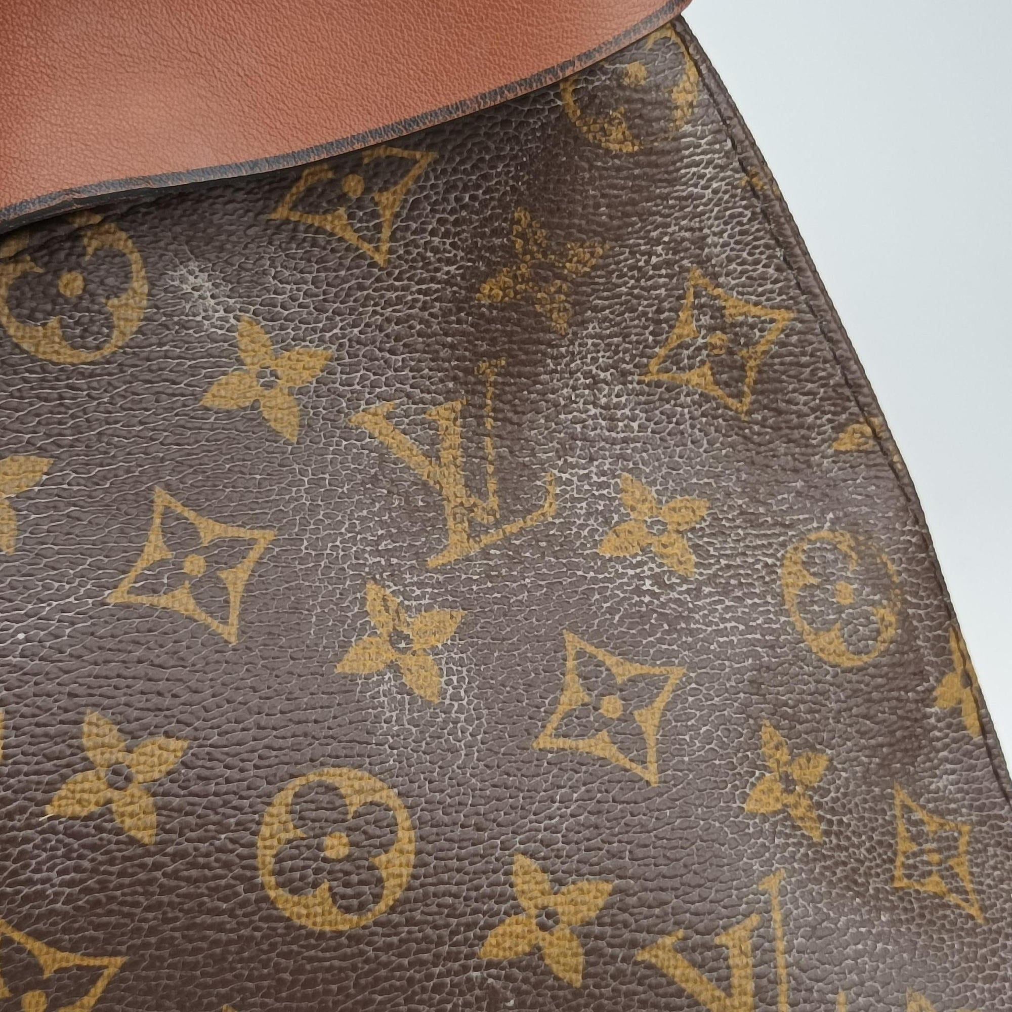 Pre-owned Louis Vuitton Tuileries Besace brown Monogram Canvas×calf leather M43157 shoulderbag | stylenewstar