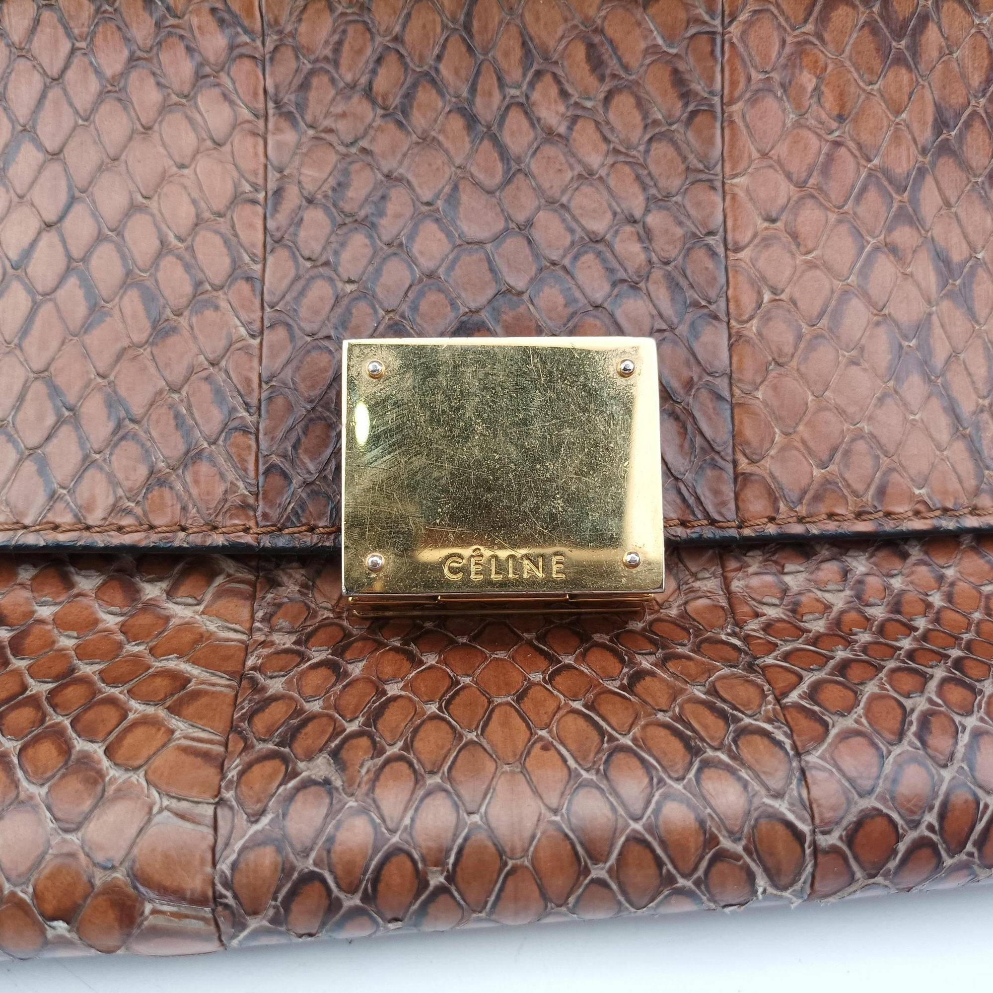 Secondhand Celine Trapeze Brown × Black Snakeskin × Leather  shoulderbag | stylenewstar
