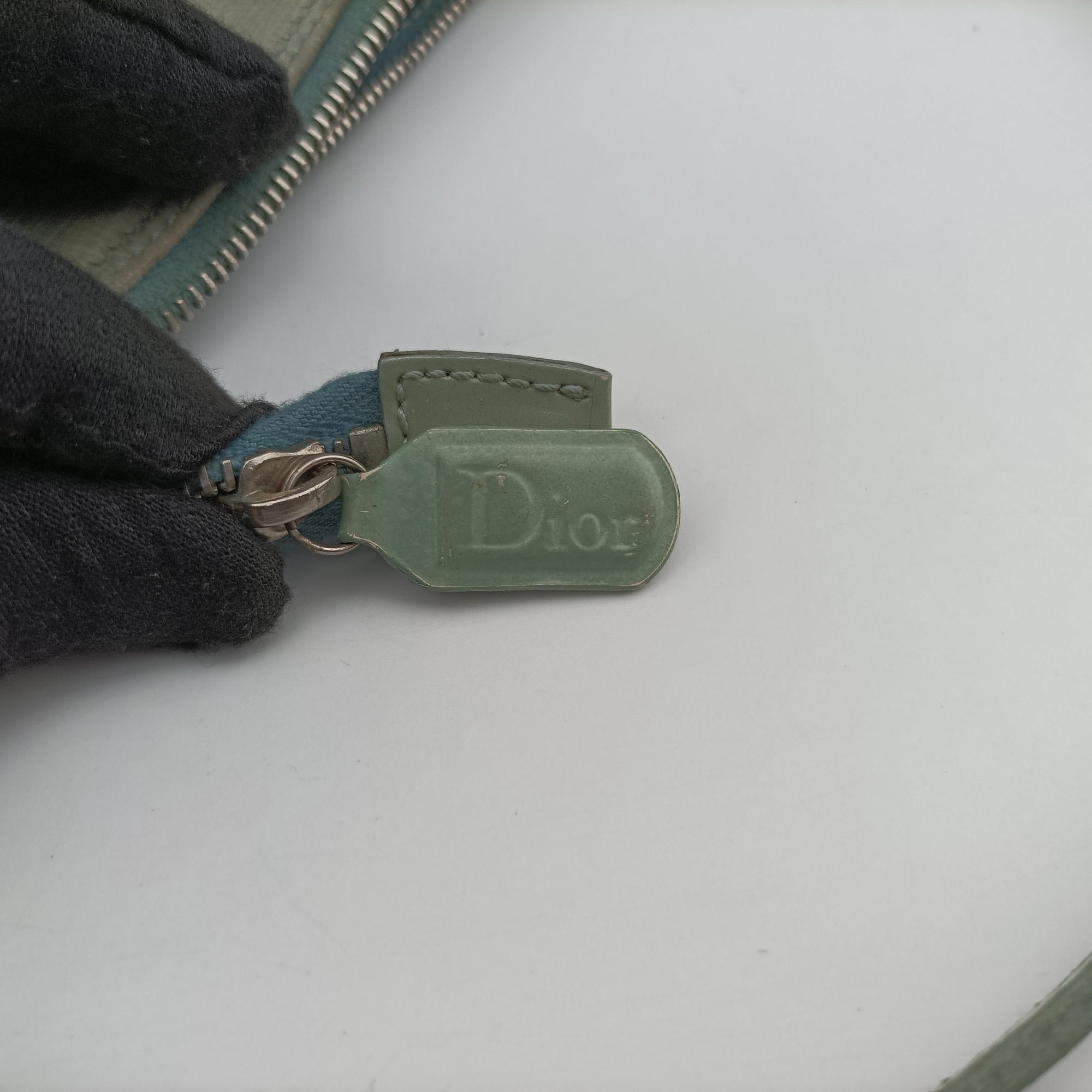 Pre-owned Christian Dior Saddle Green Lizard-Embossed Leather  handbag | stylenewstar