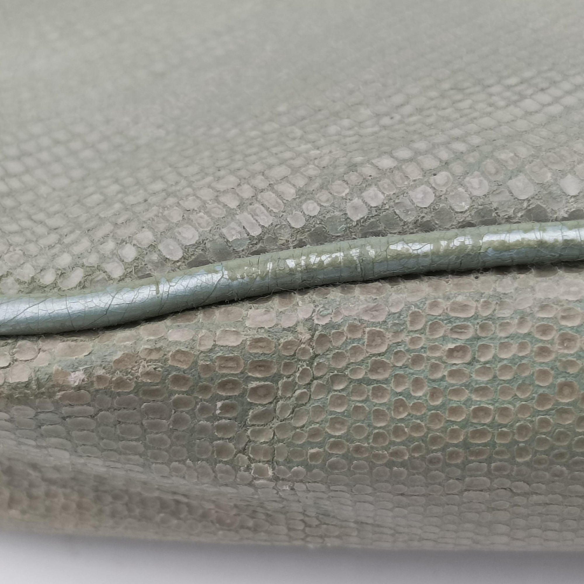 Pre-owned Christian Dior Saddle Green Lizard-Embossed Leather  handbag | stylenewstar