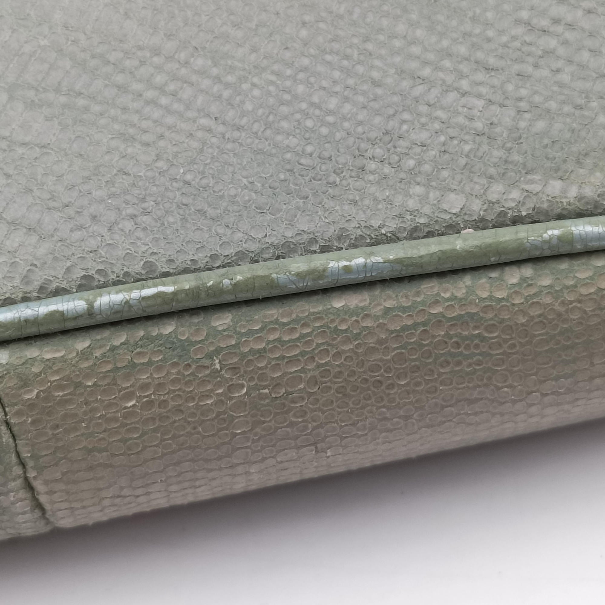 Pre-owned Christian Dior Saddle Green Lizard-Embossed Leather  handbag | stylenewstar