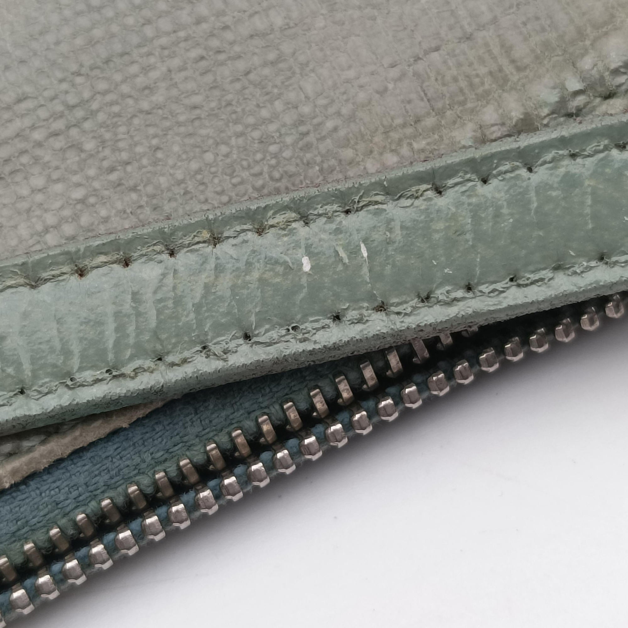 Pre-owned Christian Dior Saddle Green Lizard-Embossed Leather  handbag | stylenewstar