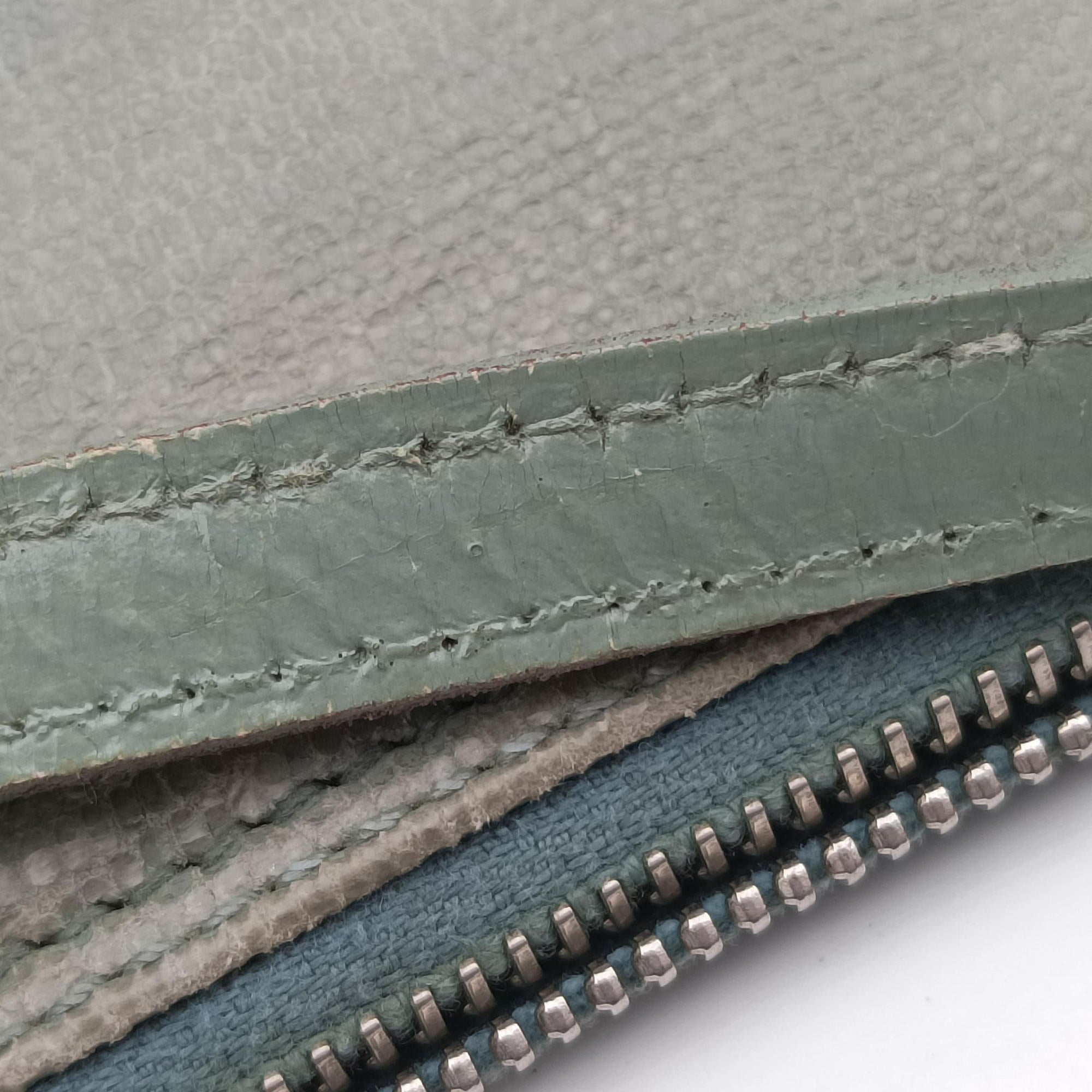 Pre-owned Christian Dior Saddle Green Lizard-Embossed Leather  handbag | stylenewstar