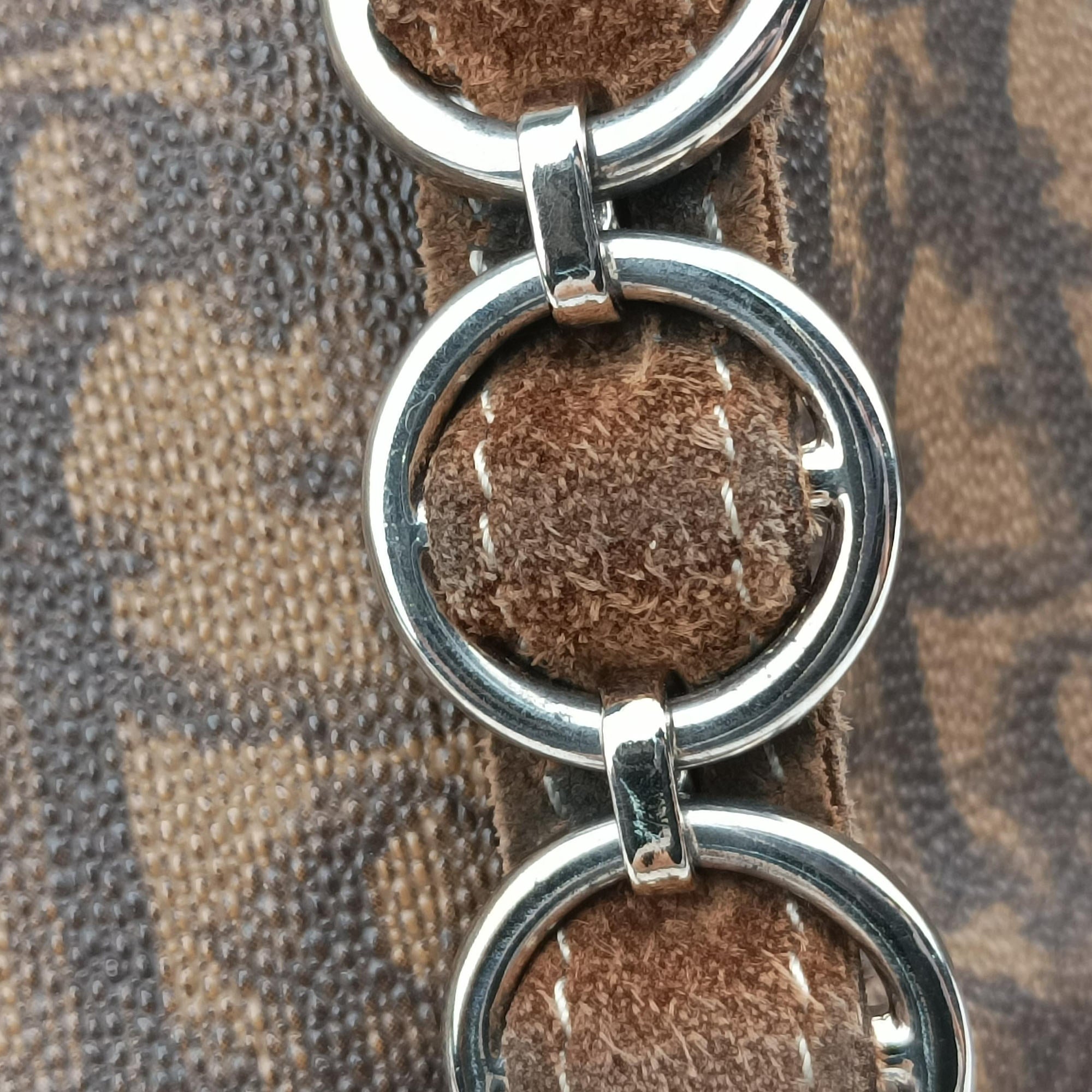 Pre-owned Christian Dior Trotter Romantique  Bow Brown×Multicolour PVC coated canvas×Leather  handbag | stylenewstar
