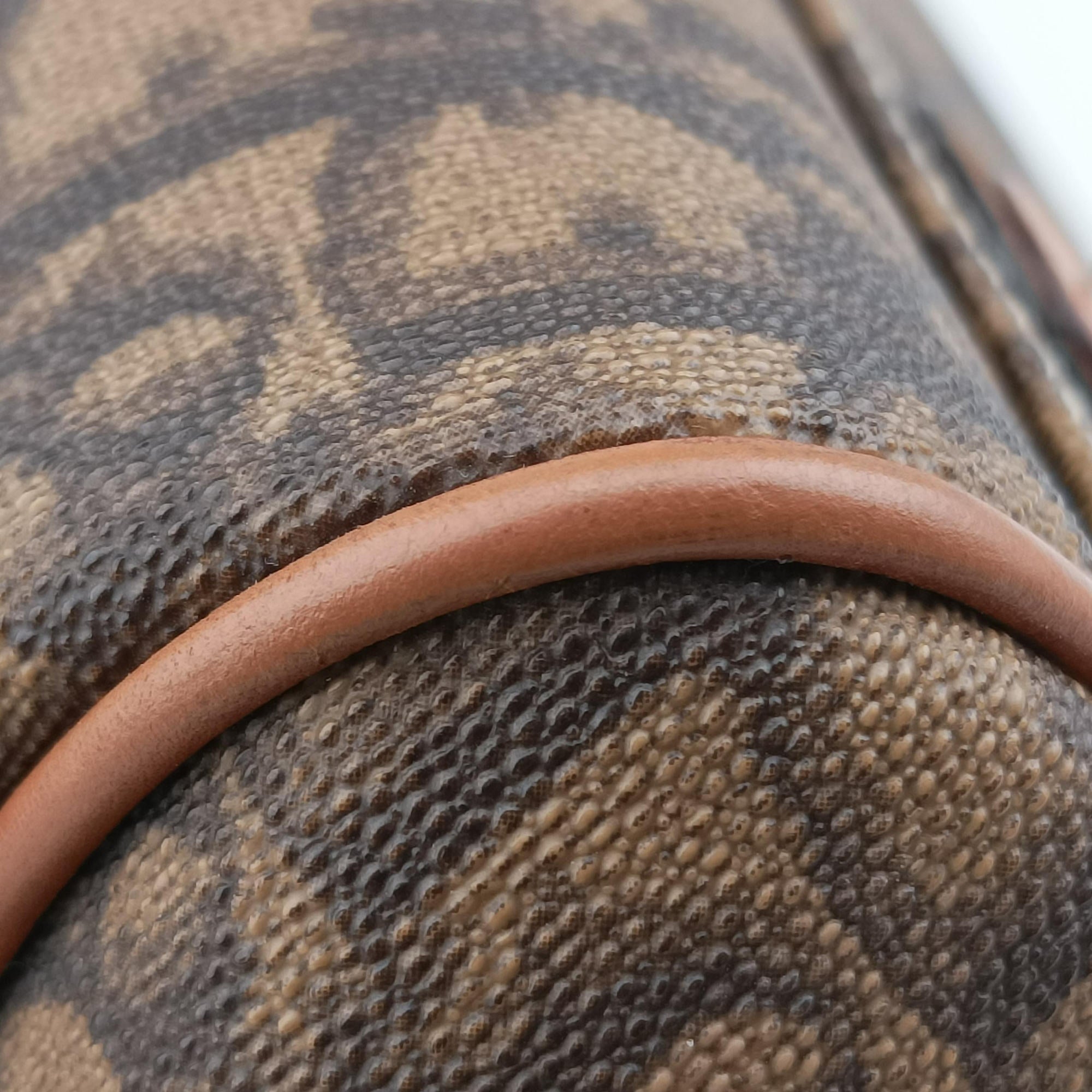 Pre-owned Christian Dior Trotter Romantique  Bow Brown×Multicolour PVC coated canvas×Leather  handbag | stylenewstar