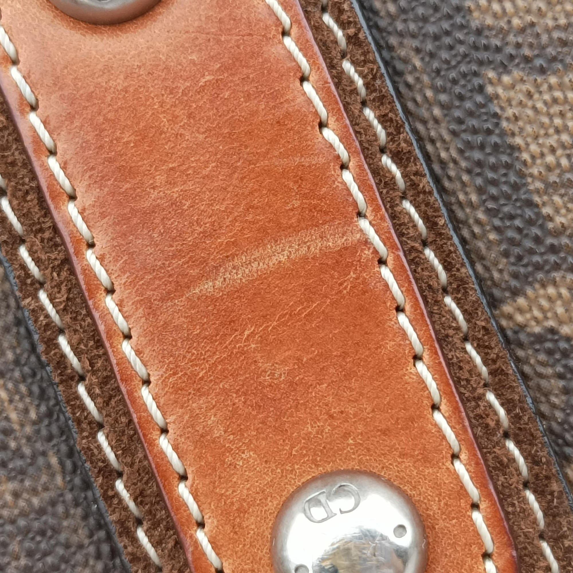 Pre-owned Christian Dior Trotter Romantique  Bow Brown×Multicolour PVC coated canvas×Leather  handbag | stylenewstar